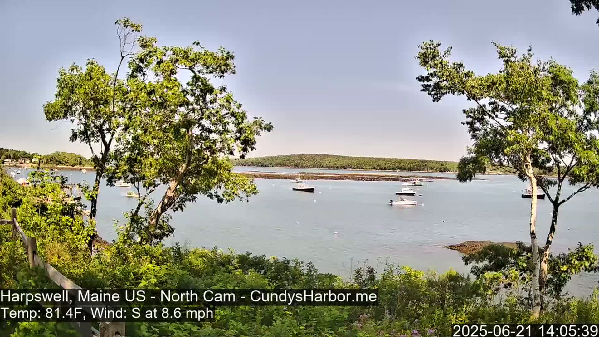 A calm body of water with several boats is visible from a shoreline vantage point, partially obscured by leafy green trees under a clear sky.