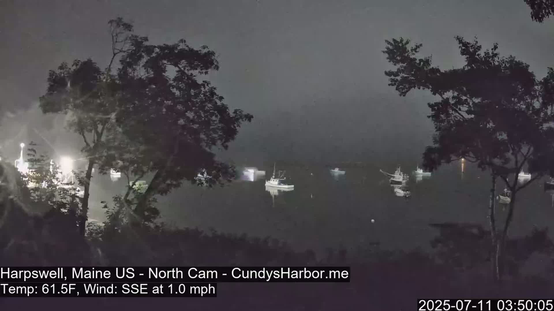 Several boats are moored in a dark, calm body of water under an overcast night sky.