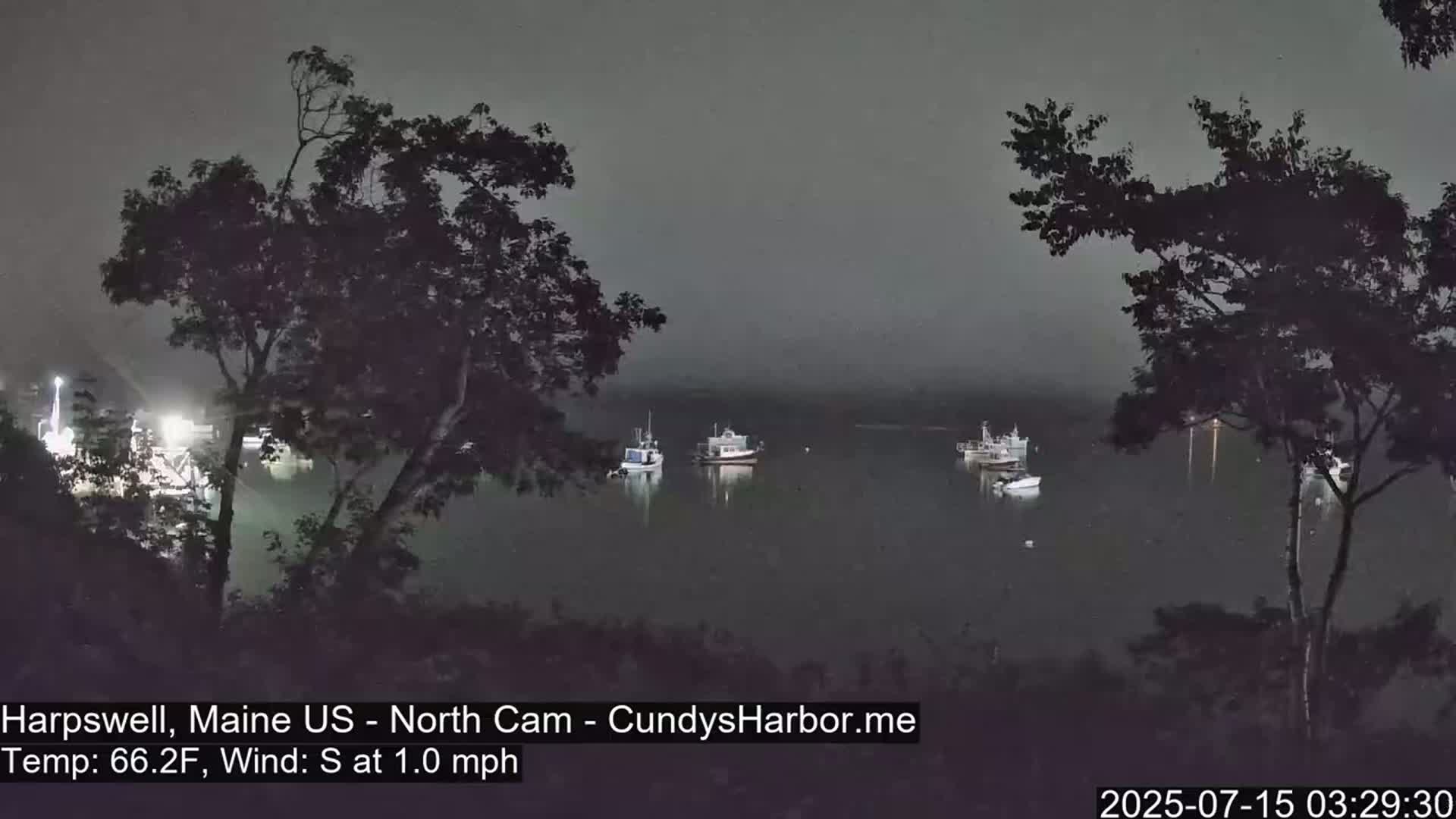 Several boats are moored in a calm, dark harbor at night, viewed from behind silhouetted trees.