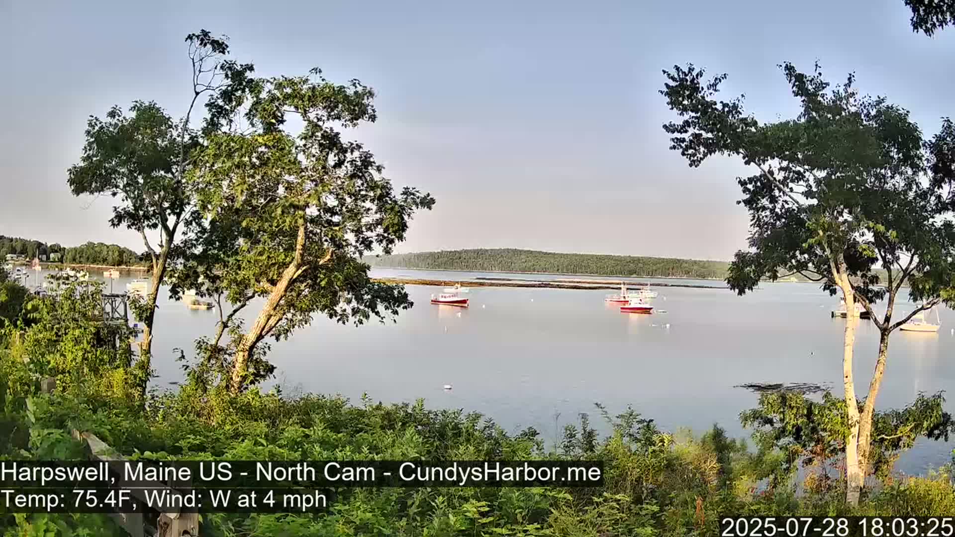 Several small boats are moored in a calm bay under a clear sky, viewed from a vantage point partially obscured by trees.