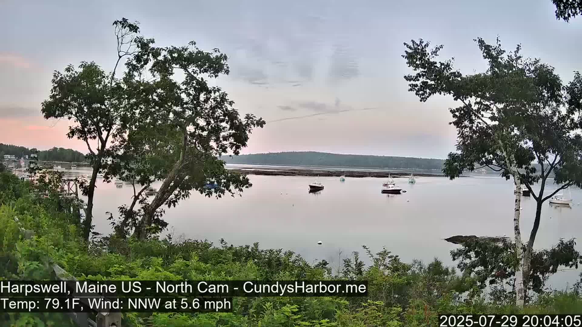 Several small boats are moored in a calm bay under a clear sky, viewed from a vantage point partially obscured by trees.
