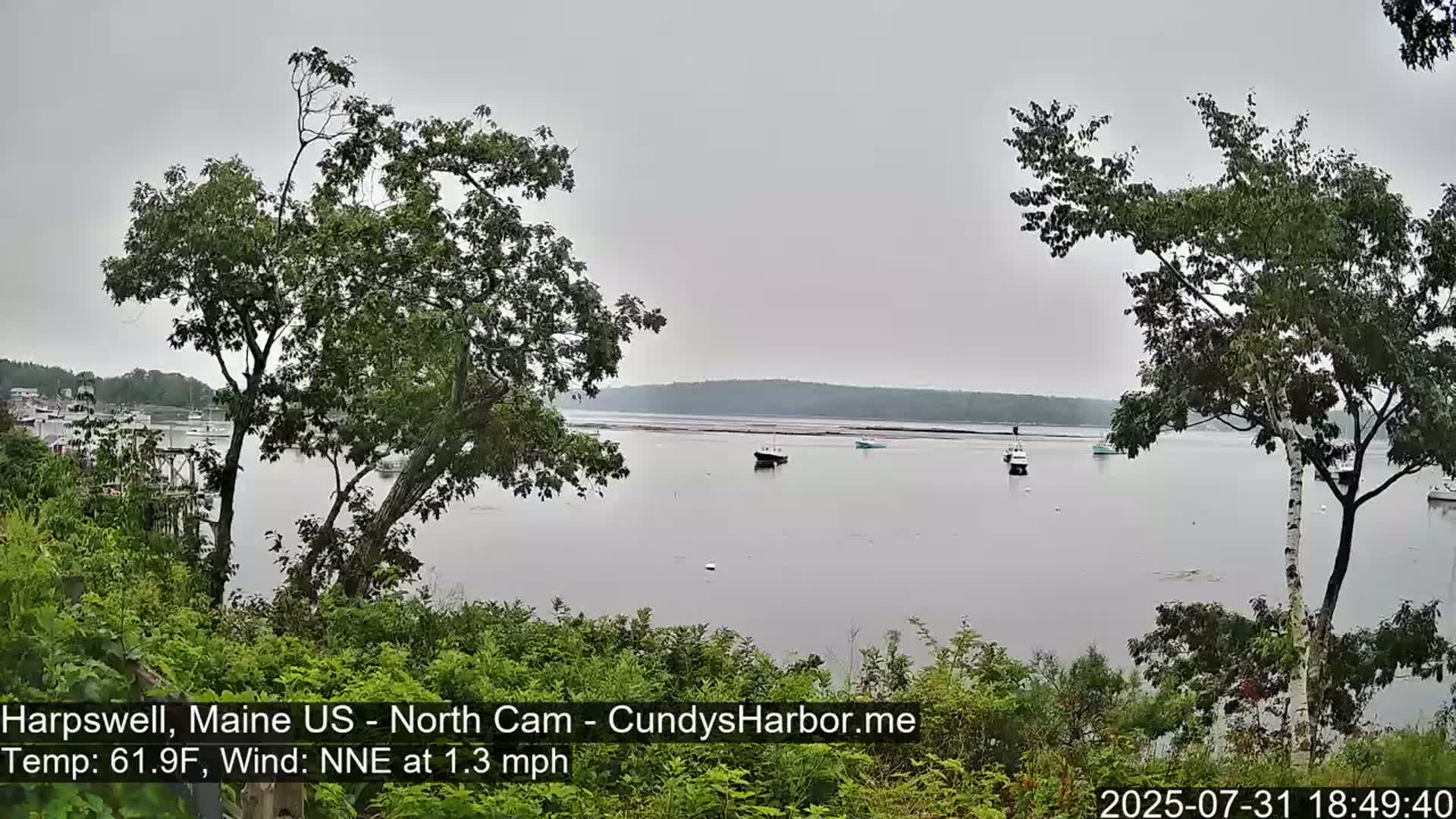 A calm, overcast day reveals a tranquil body of water with several small boats, viewed from a shoreline lined with green vegetation and trees.
