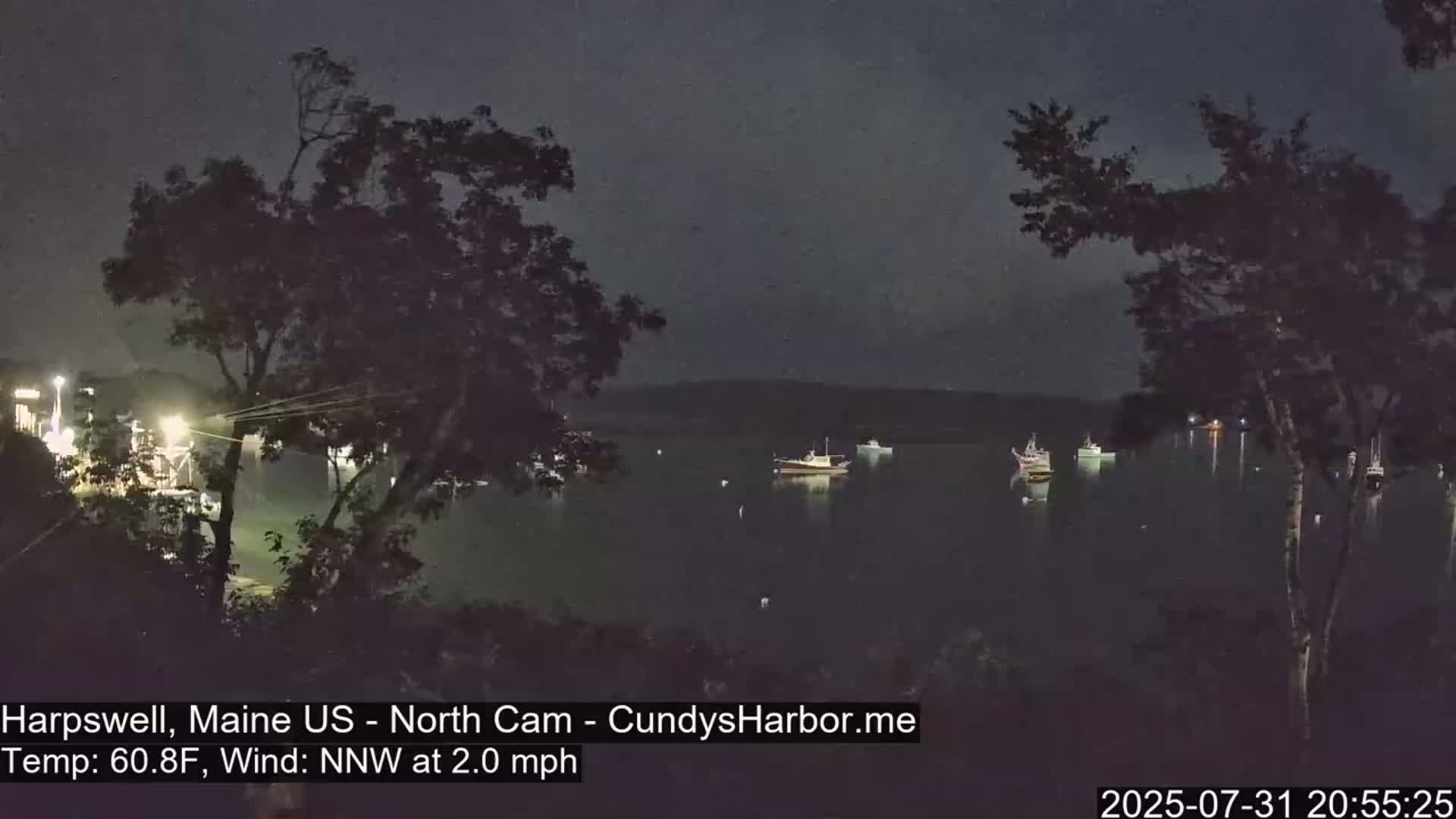 A nighttime view of a calm harbor with several boats, seen from behind trees under a dark sky.