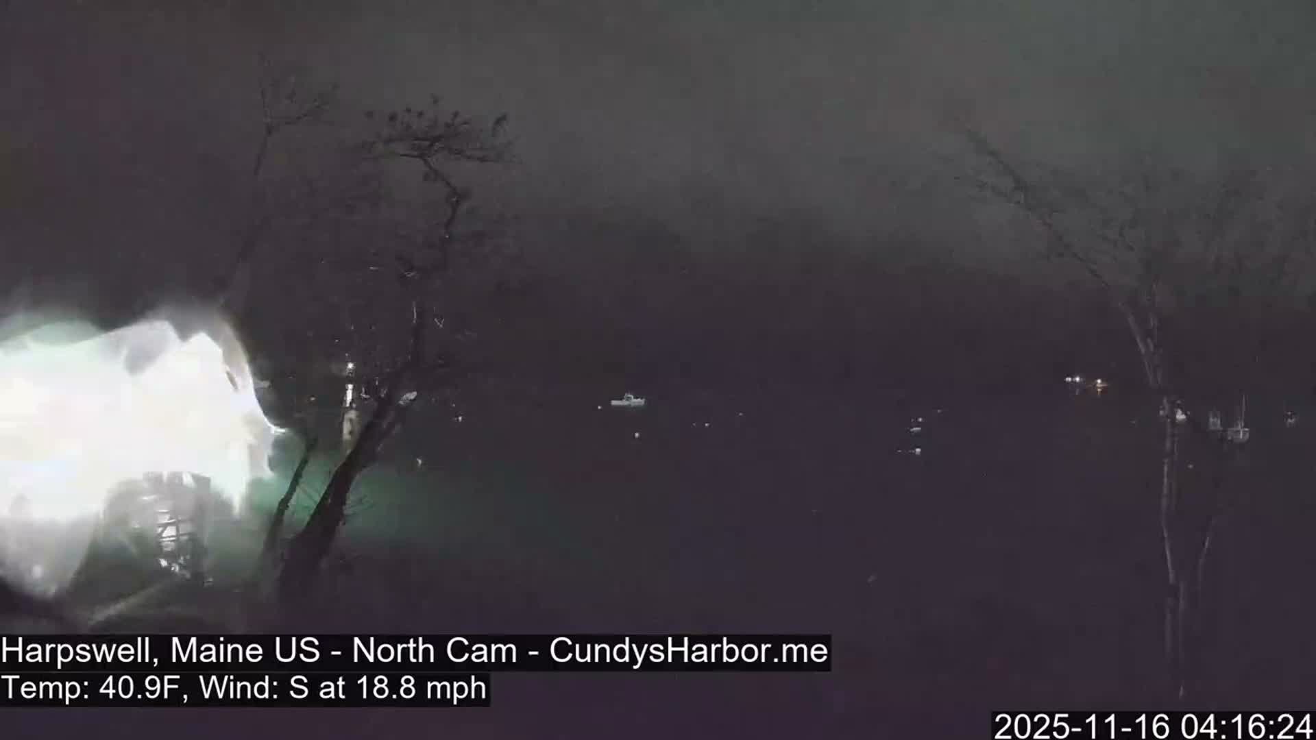 A dark and blurry night view reveals a harbor with scattered lights on the water and a distant shore, framed by bare trees, amidst misty or rainy conditions that cause a bright glare on the camera lens.