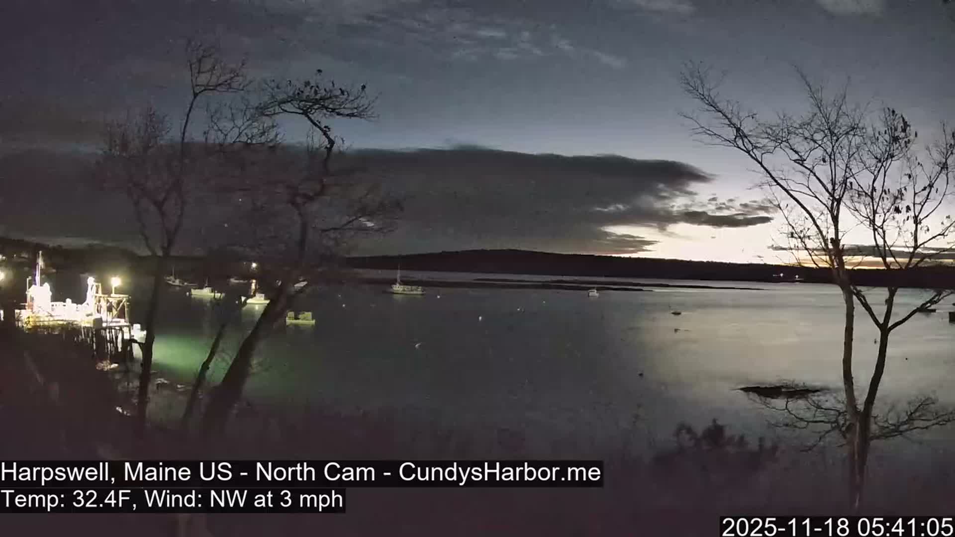 A dark and blurry night view reveals a harbor with scattered lights on the water and a distant shore, framed by bare trees, amidst misty or rainy conditions that cause a bright glare on the camera lens.