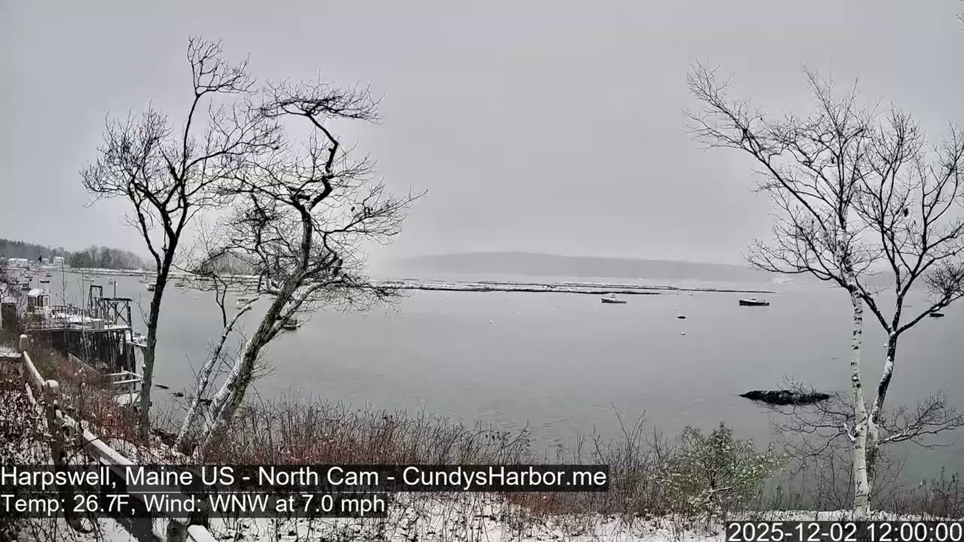 A wintry harbor scene features bare, snow-dusted trees in the foreground overlooking a grey body of water dotted with moored boats, under an overcast sky.