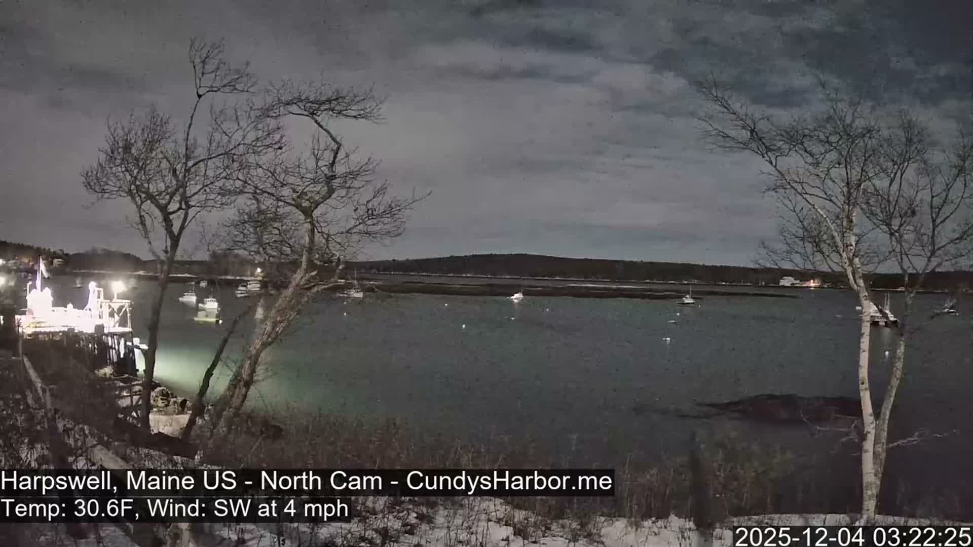A cold, overcast night scene shows a harbor with bare trees framing a brightly lit dock, several small boats on calm water, and dark hills in the background.