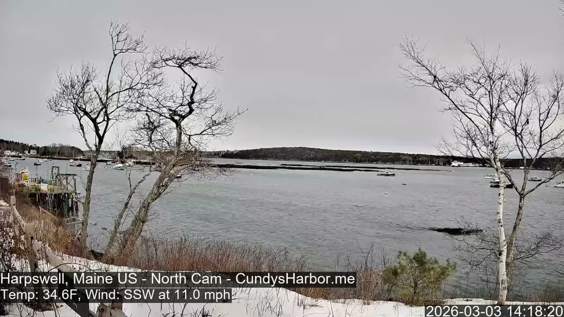 Cundy Harbor North Live Cam - Harpswell, Maine, USA