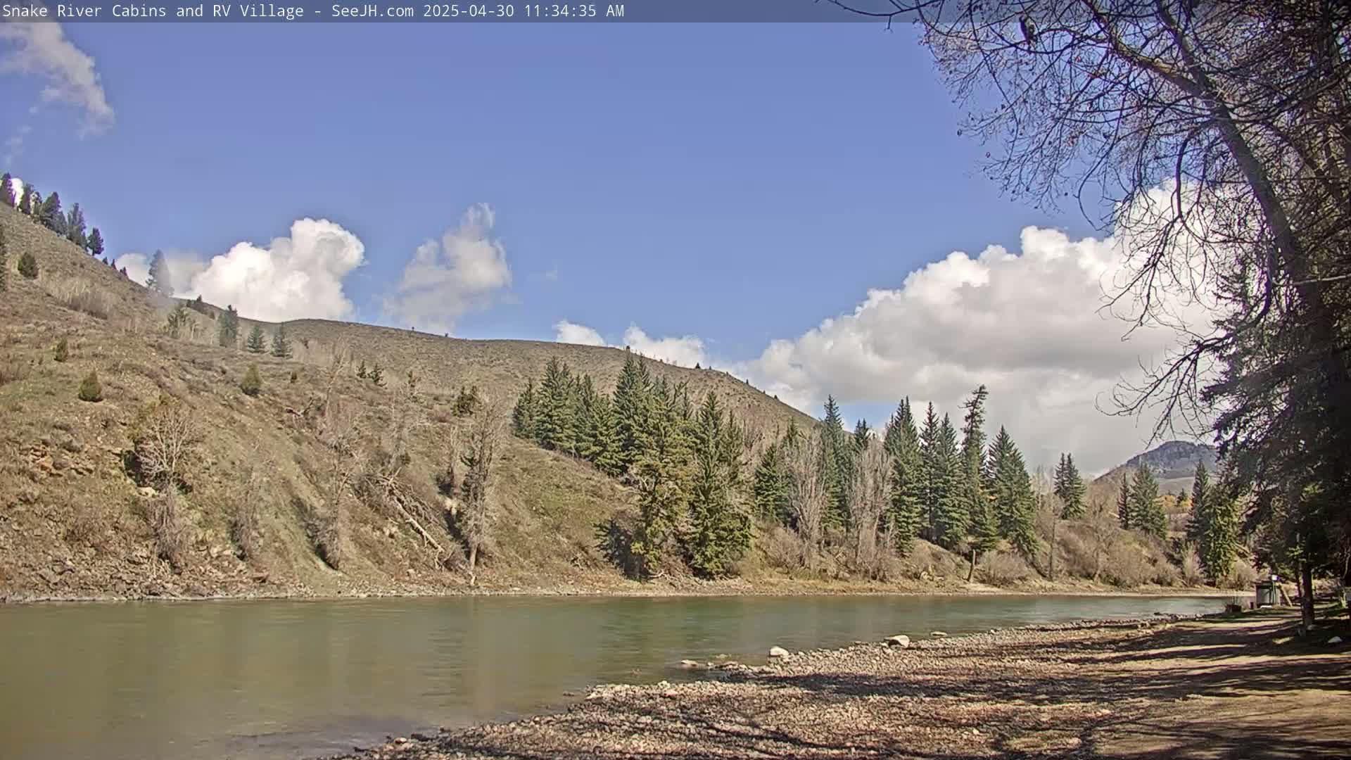 A partly sunny day shows a calm river flowing past a rocky, sparsely vegetated bank beneath a hillside of evergreens and bare deciduous trees under a mostly blue sky with puffy white clouds.