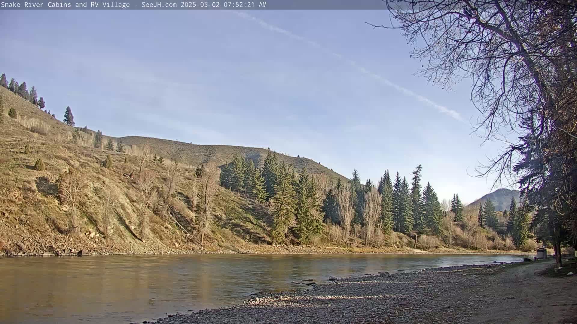 A calm river flows past a rocky shore, bordered by a hillside of sparsely vegetated land and evergreen trees under a clear, sunny sky.