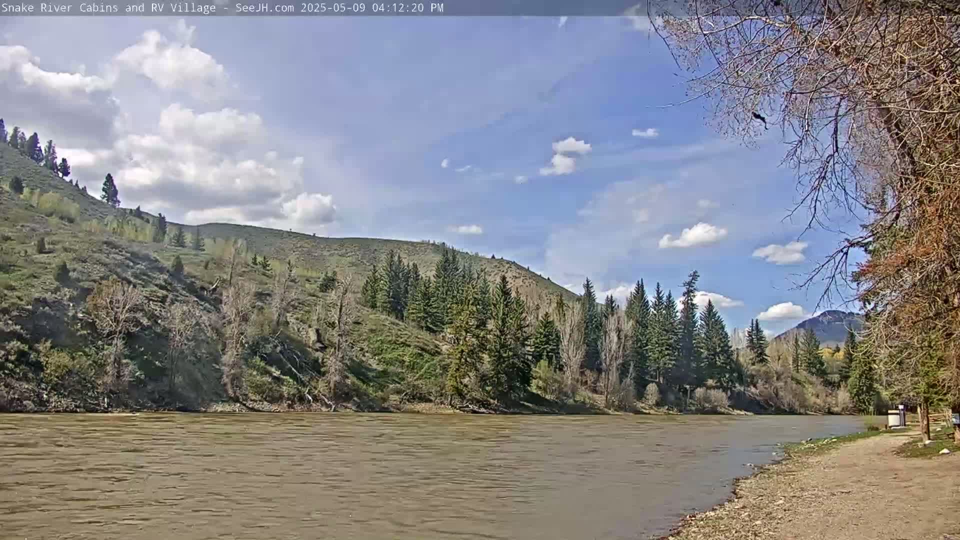 A wide, muddy river flows beneath a partly cloudy blue sky past a sandy bank and a hillside covered in green vegetation and evergreen trees.