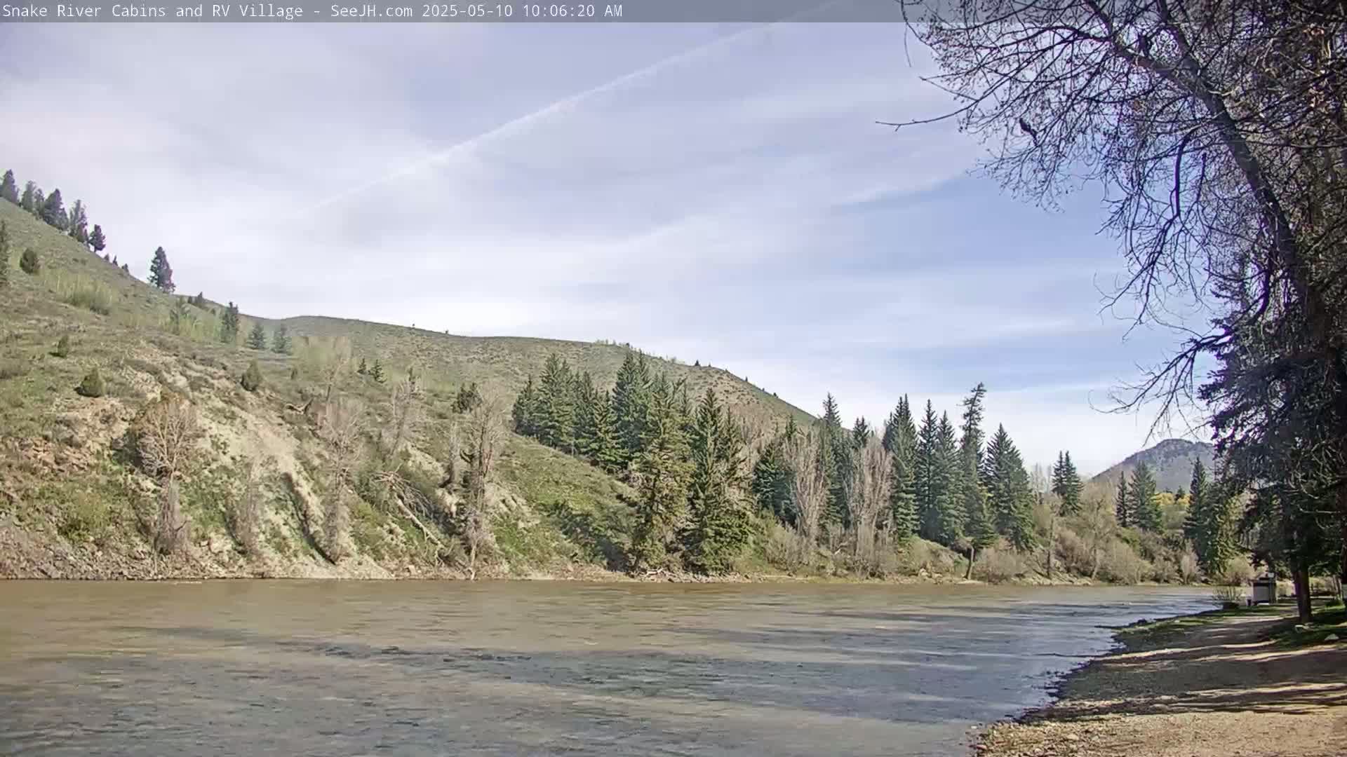 A wide, muddy river flows past a grassy hillside dotted with evergreen trees under a mostly sunny sky.