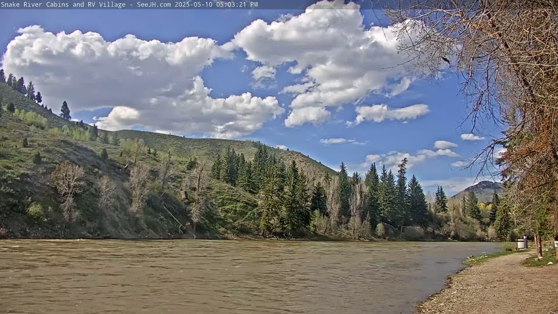 A partly cloudy sky overlooks a wide, muddy river flowing past a rocky shore and a hillside covered with evergreen trees and budding shrubs.