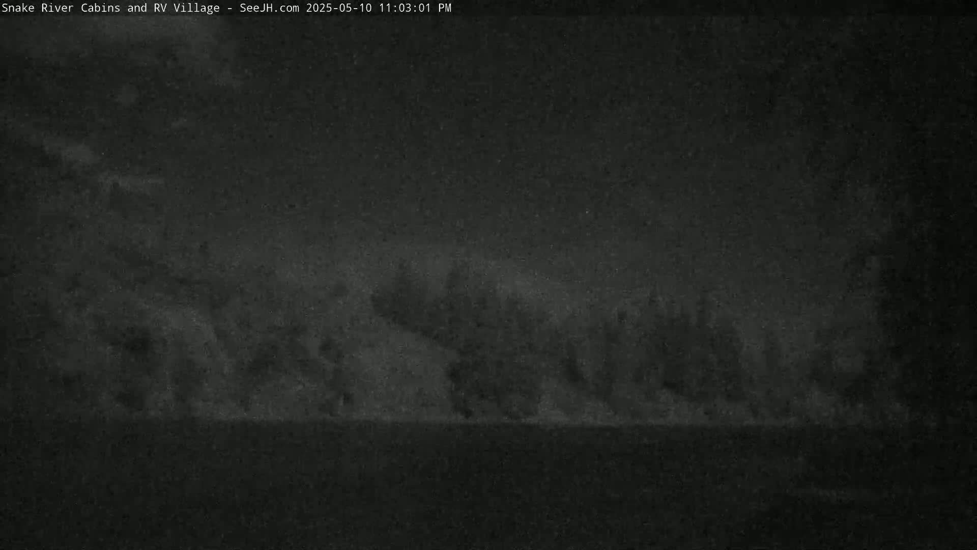A nighttime, low-light image shows a dark landscape with indistinct trees or shrubs in the middle ground.