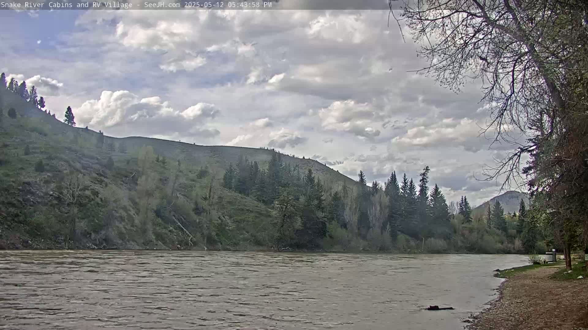 A wide, muddy river flows past a sandy bank toward a hillside covered in evergreens under a partly cloudy sky.
