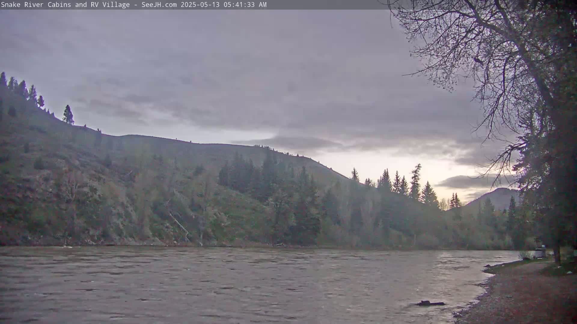 A calm river flows in front of a tree-covered hillside under an overcast sky.