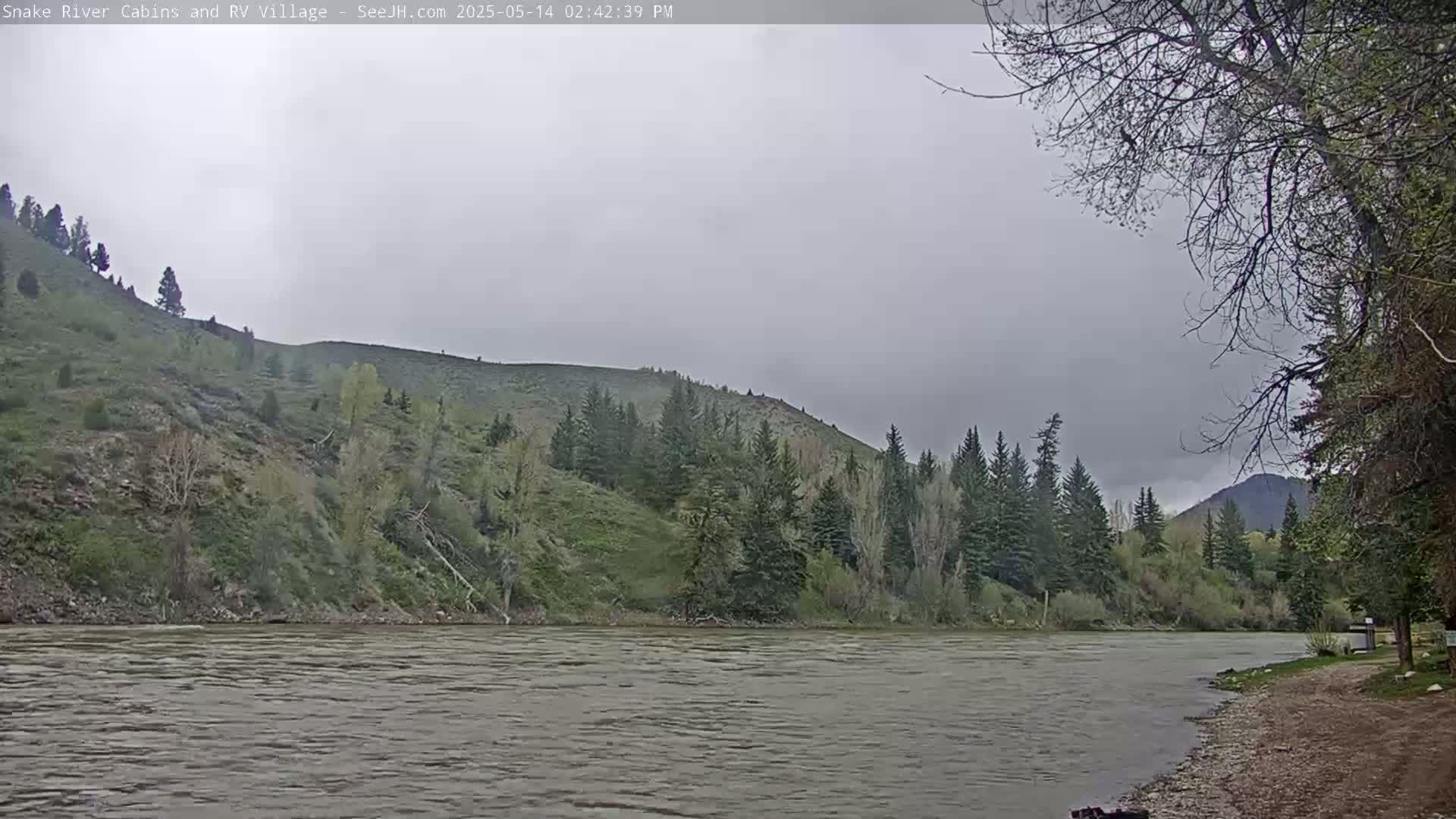 A wide, grey river flows past a grassy, tree-covered hillside under an overcast sky.