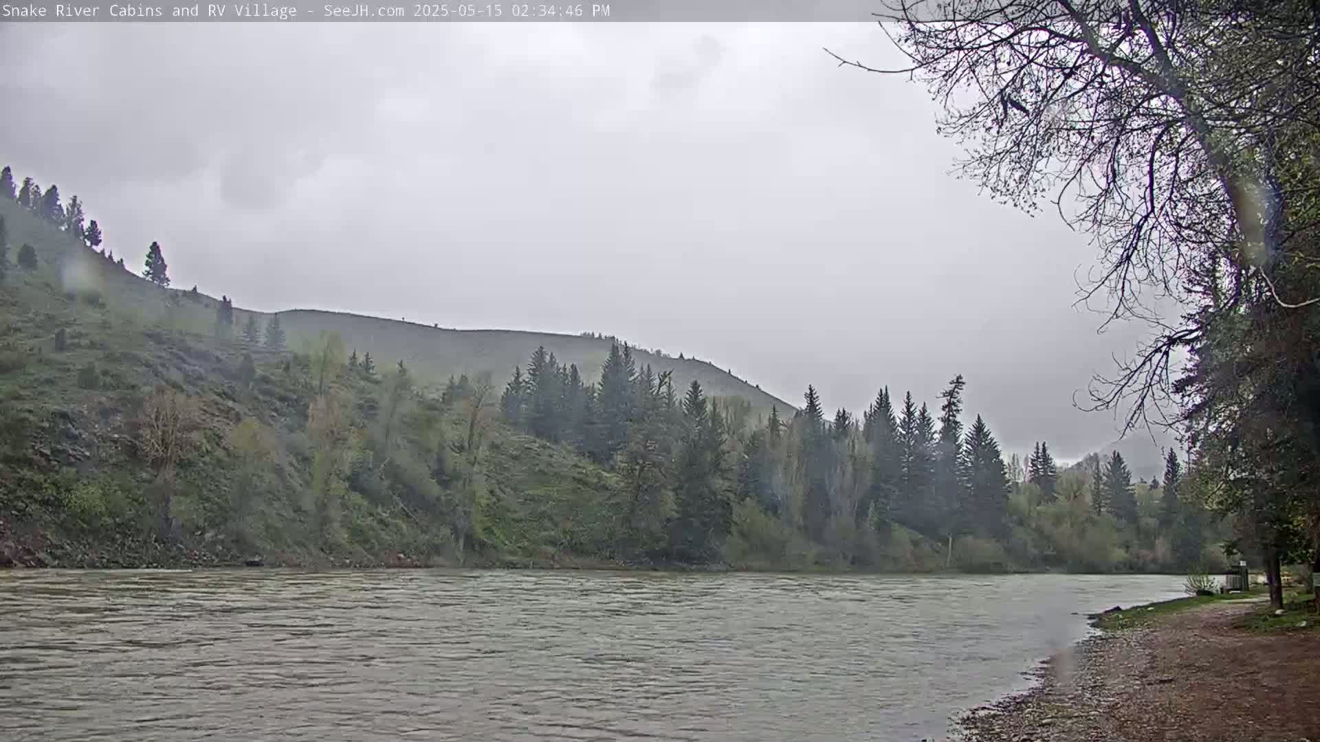 A wide, grey river flows past a tree-lined bank and a hillside under an overcast sky.