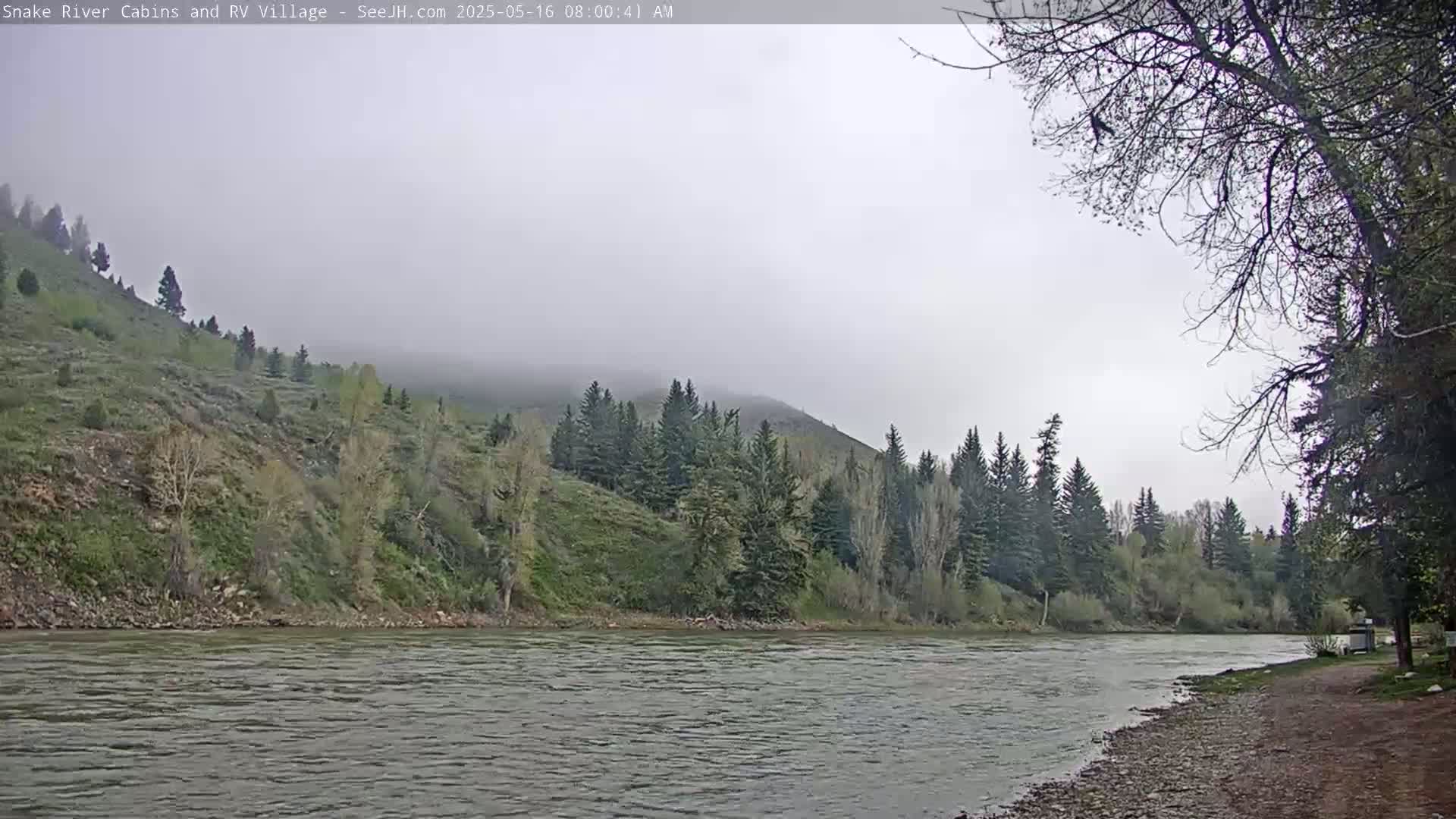 A foggy morning scene shows a river flowing past a treeline and grassy hillside.