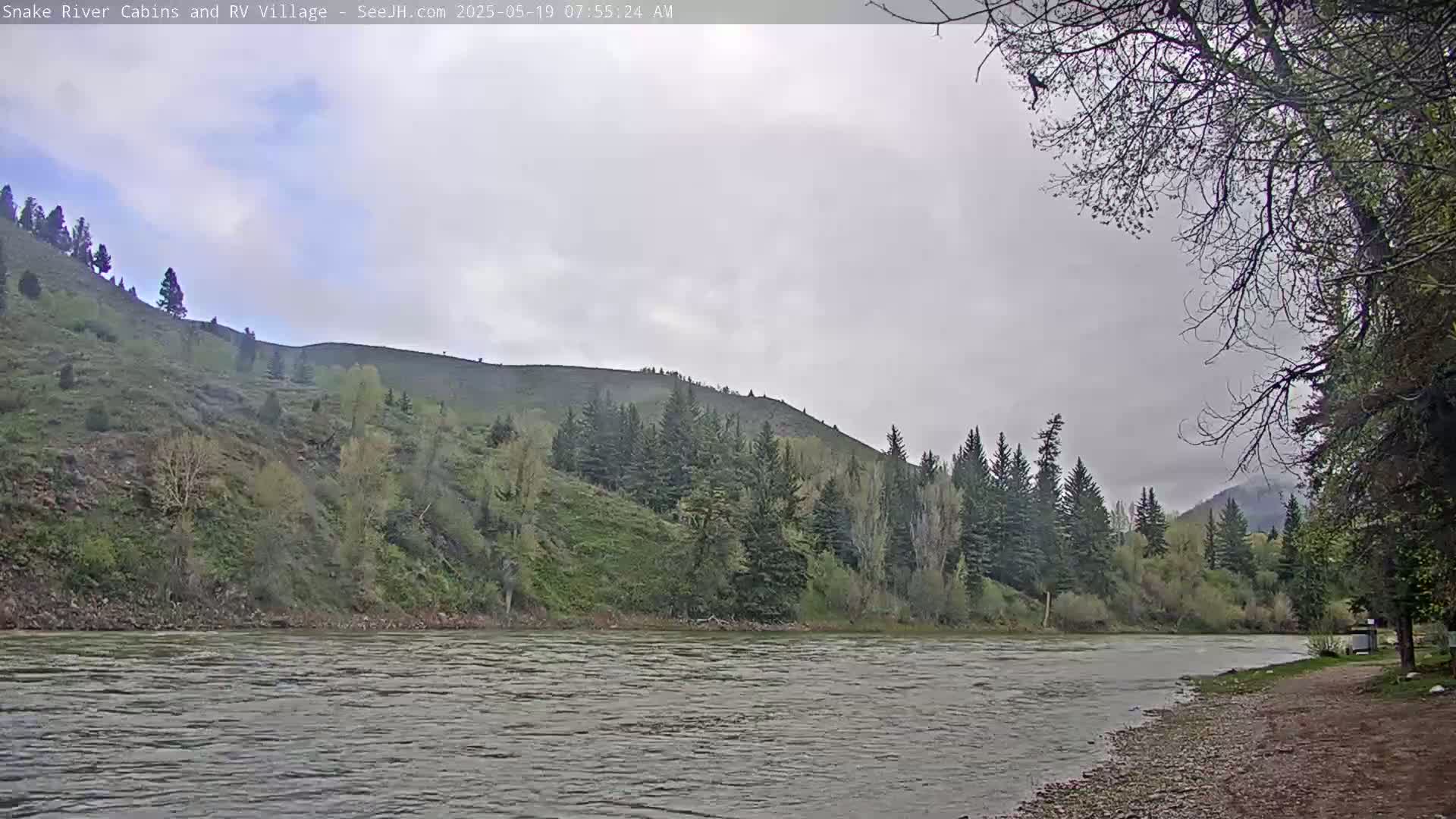 A wide, flowing river is seen under an overcast sky, with green hills and evergreen trees lining the banks.