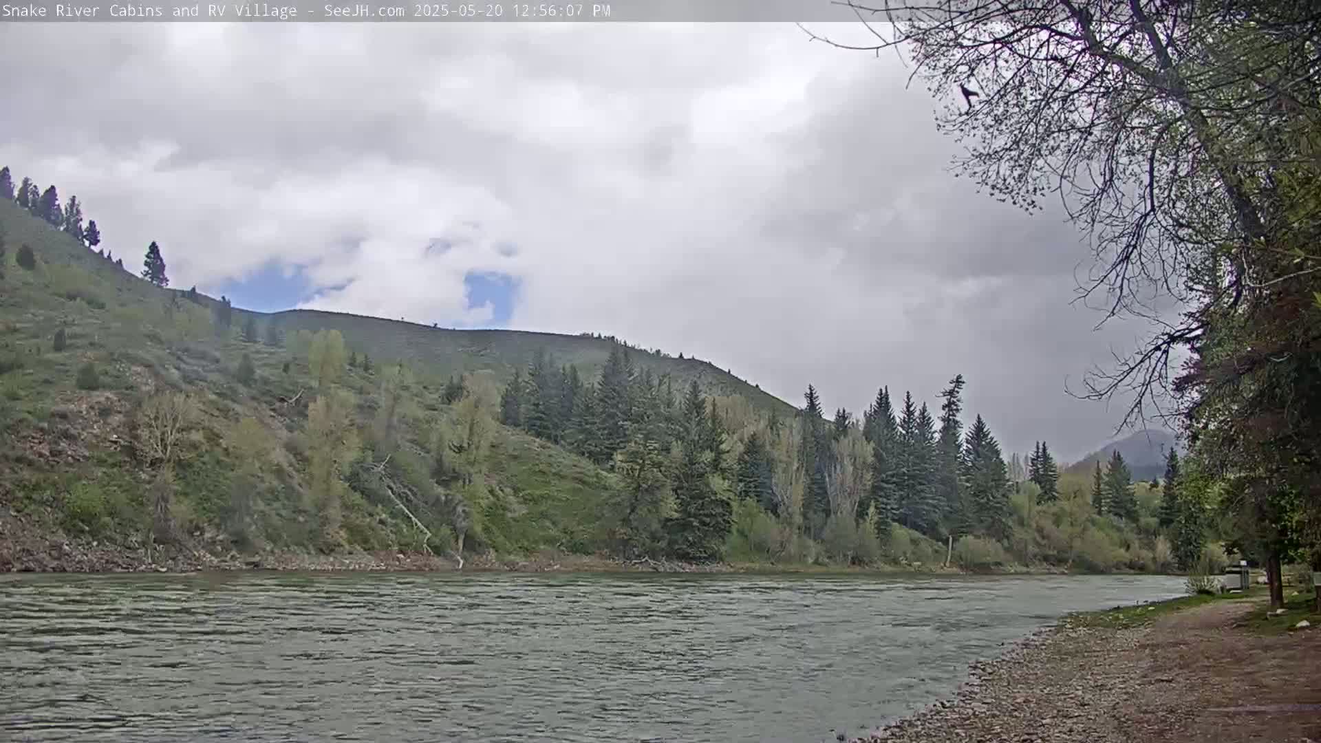 A wide, gray river flows under an overcast sky past a rocky bank lined with evergreens and a lush green hillside.