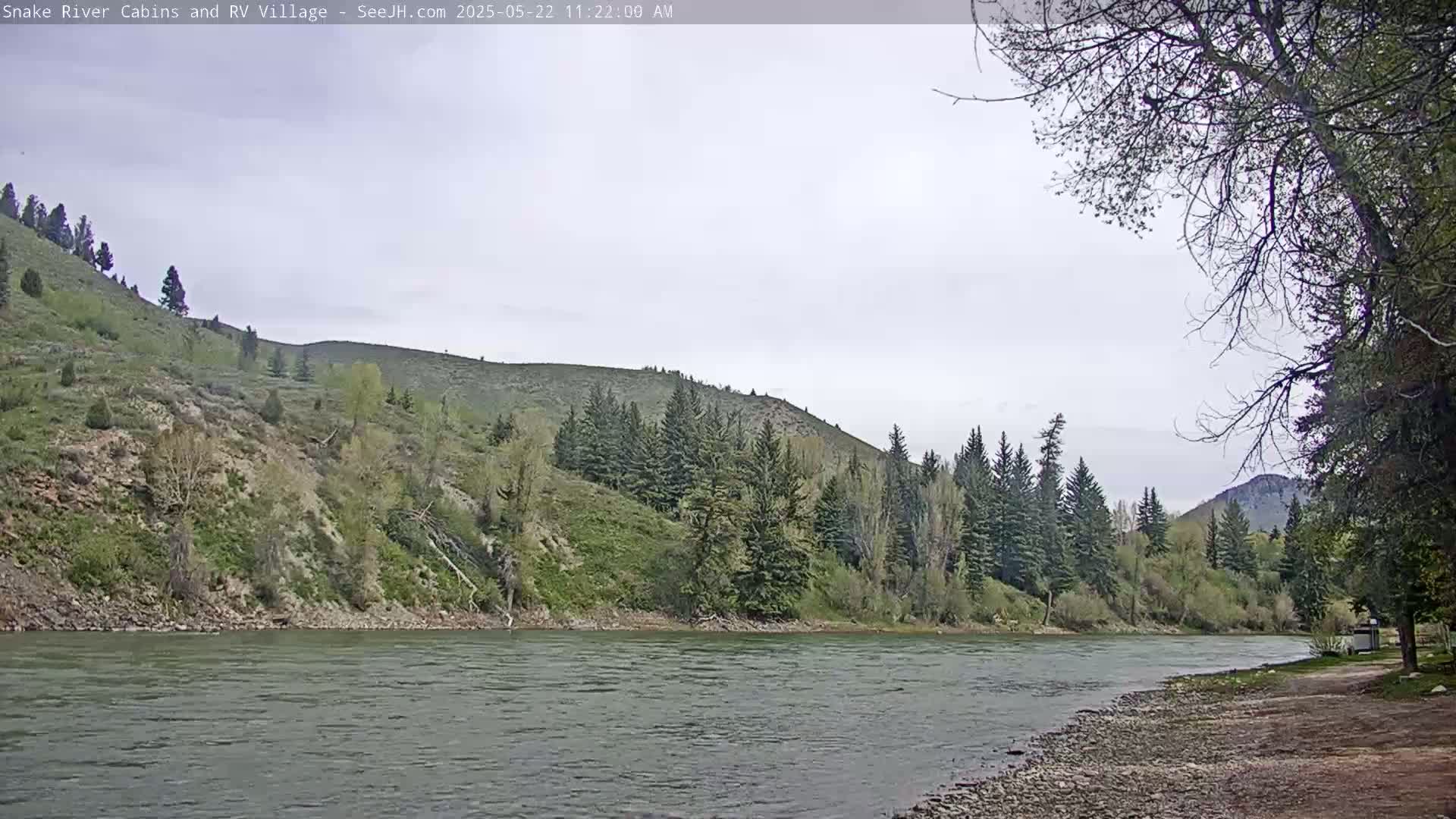 A wide, calm river flows past a rocky shoreline and a hillside covered in green vegetation and evergreens under an overcast sky.
