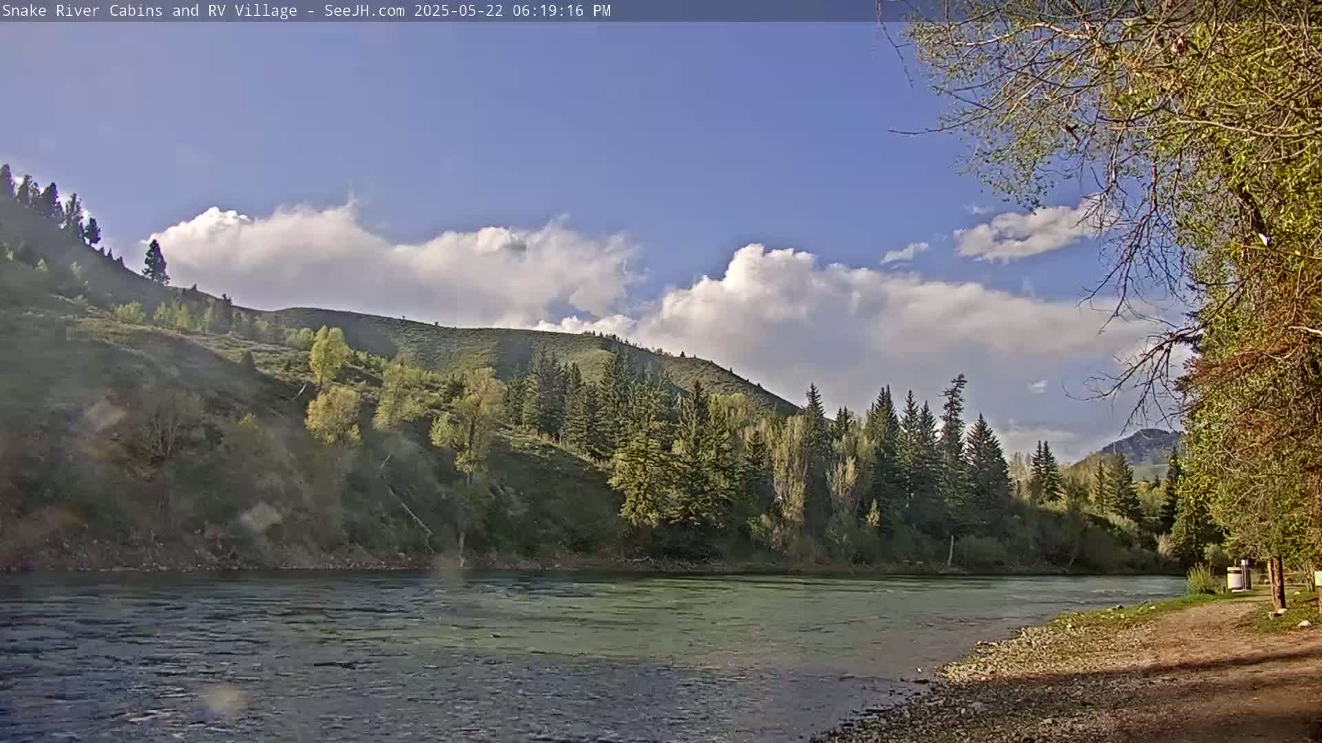A partly cloudy sky overlooks a calm river flowing past a rocky shore and a verdant hillside dotted with evergreen trees.