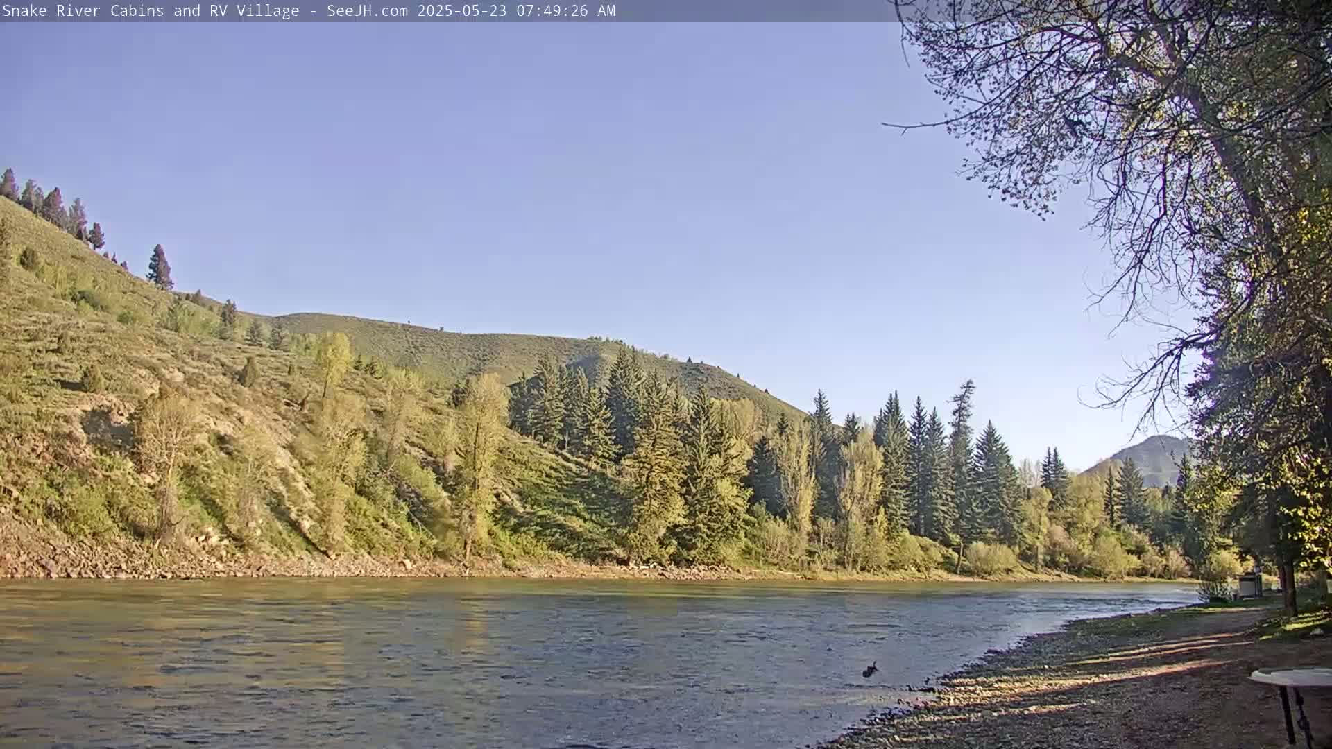 A calm river flows past a rocky, tree-lined shore beneath a clear blue sky.