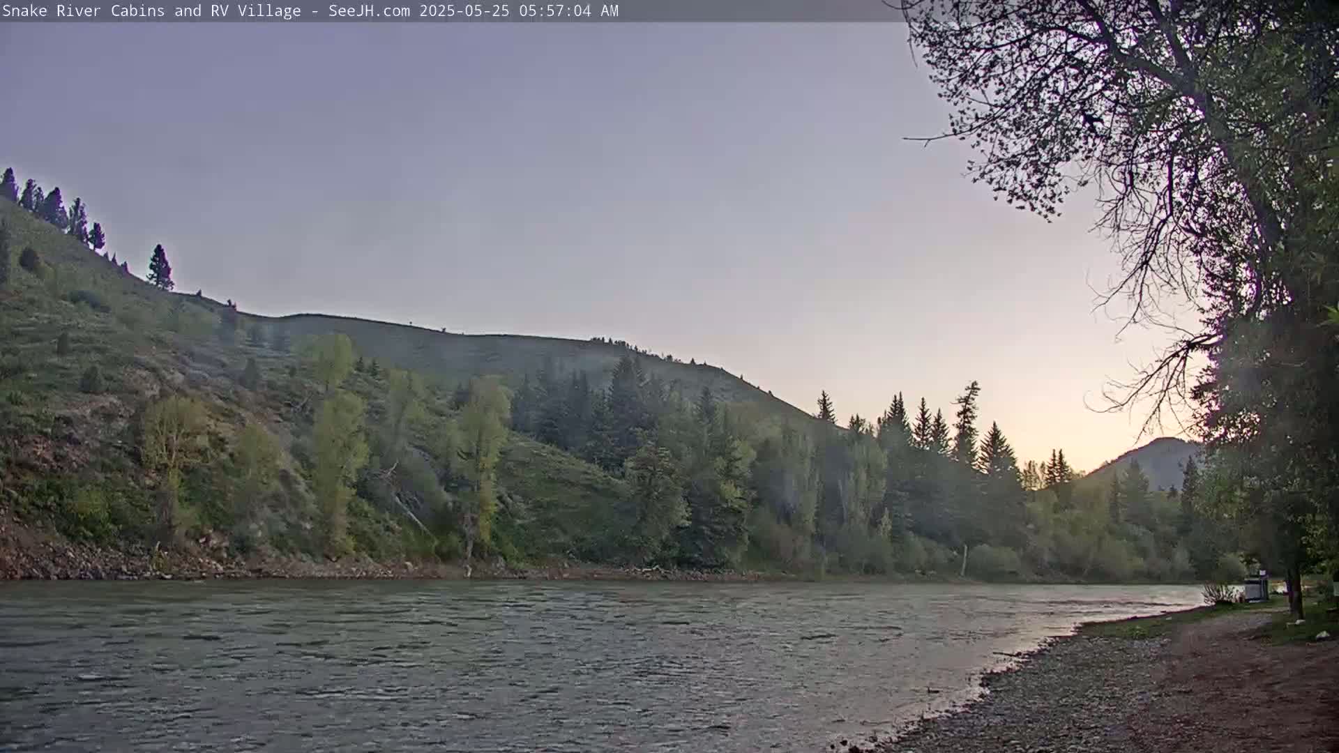 A calm river flows past a rocky shore and a hillside covered in green trees and shrubs under a dusky, pre-dawn sky.