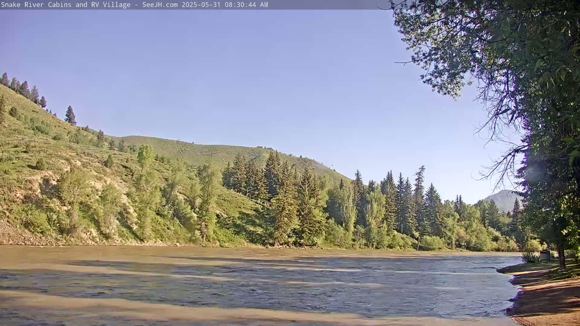 A wide, muddy river flows beneath a clear blue sky past green hillsides dotted with evergreen trees.