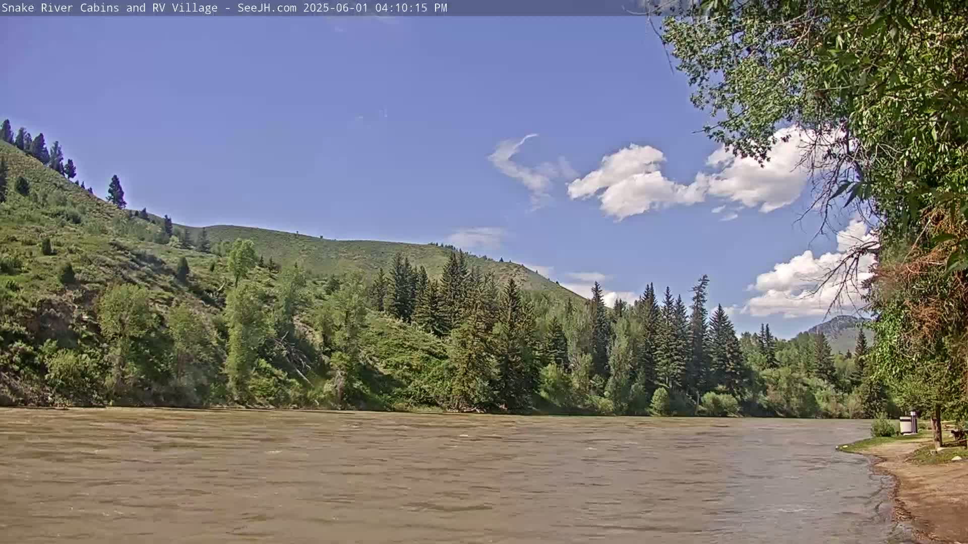 A wide, muddy river flows past a lush green hillside covered in coniferous trees under a partly cloudy blue sky.