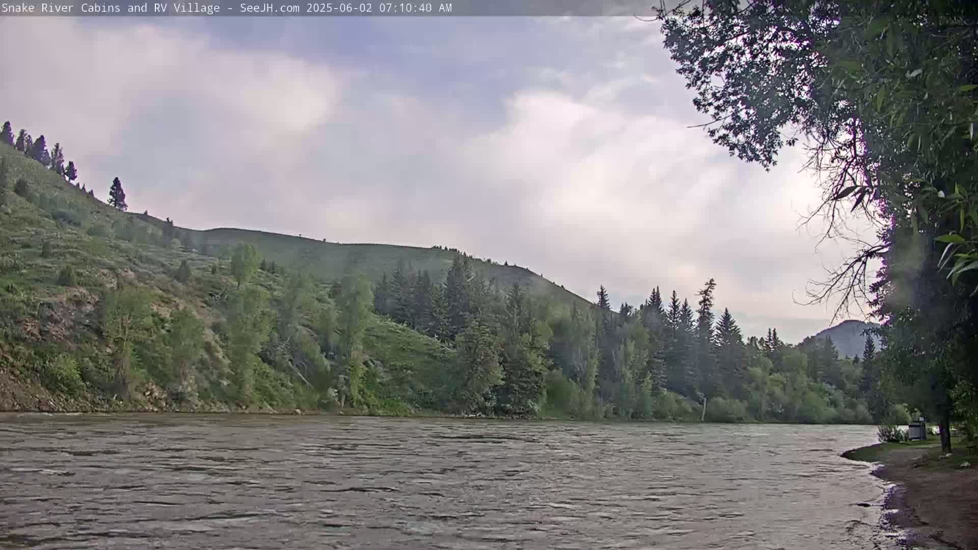 A wide, gently rippling river flows in front of a verdant hillside dotted with evergreens under a mostly cloudy sky.