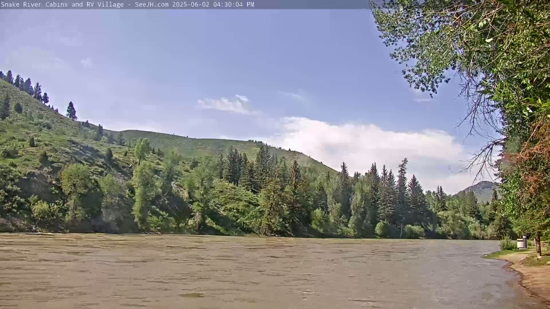 A wide, muddy river flows past lush green hills and evergreen trees under a partly cloudy sky.