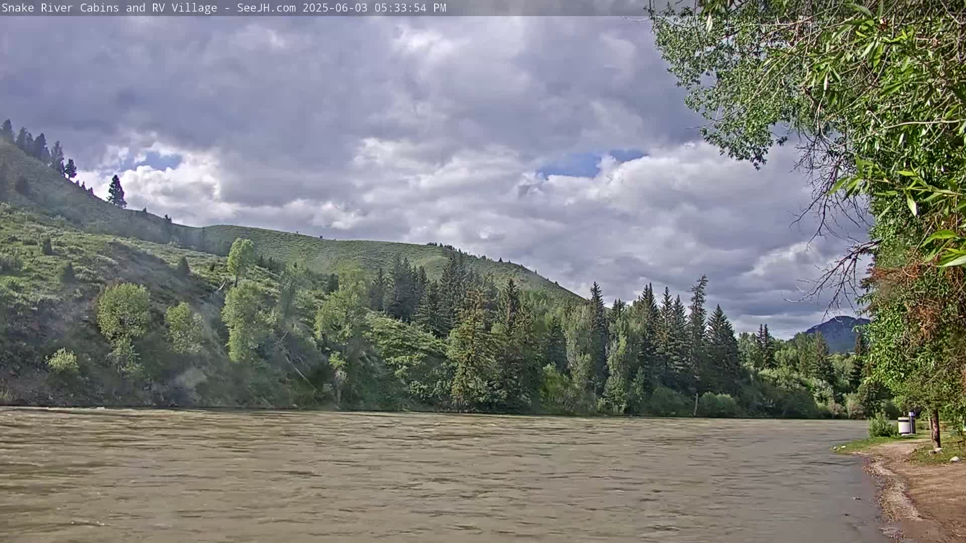 A wide, muddy river flows in front of a lush green hillside covered in evergreen trees under a partly cloudy sky.