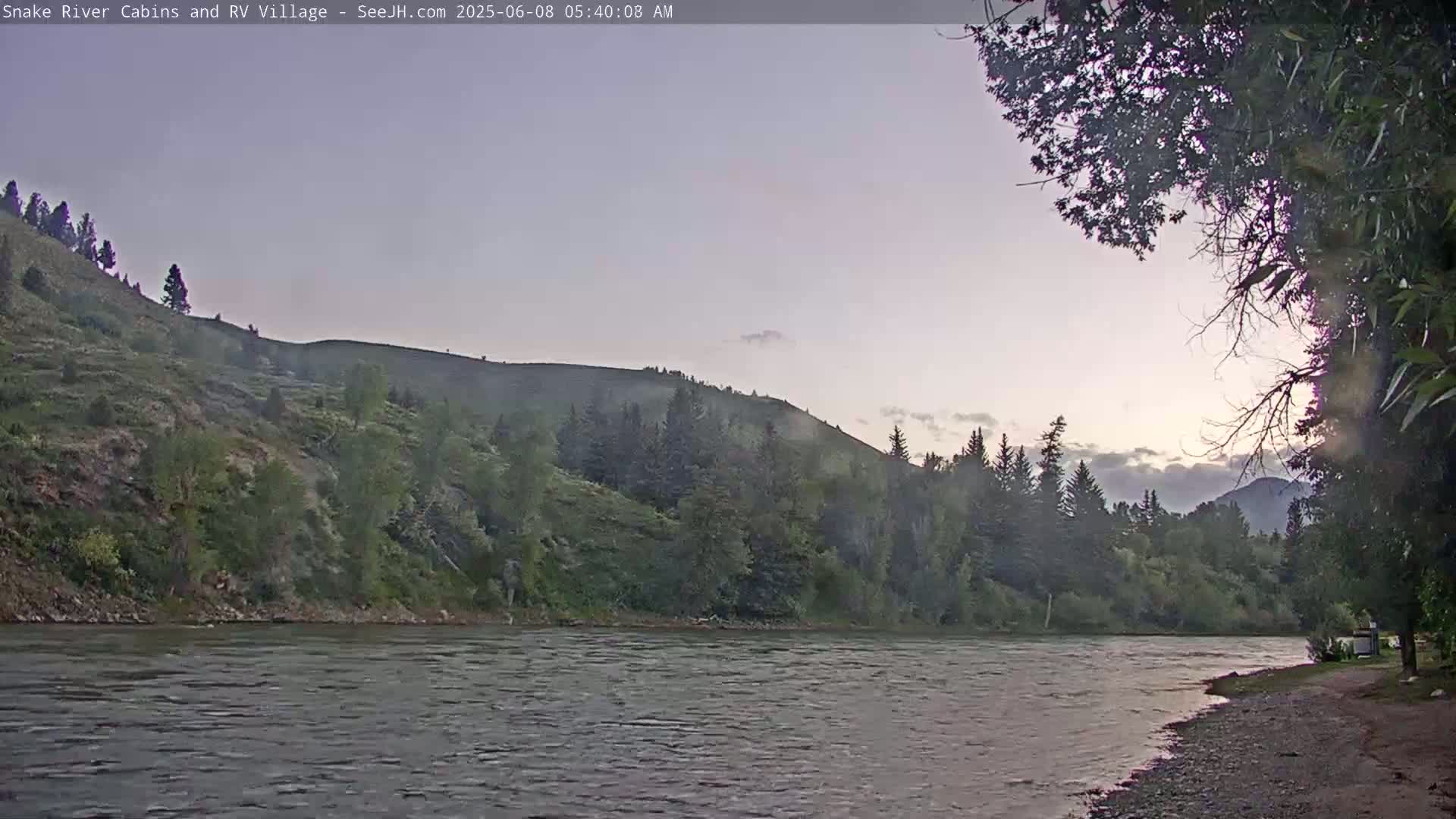 A calm river flows past a tree-lined, hilly bank under a pale, overcast sky at dawn.