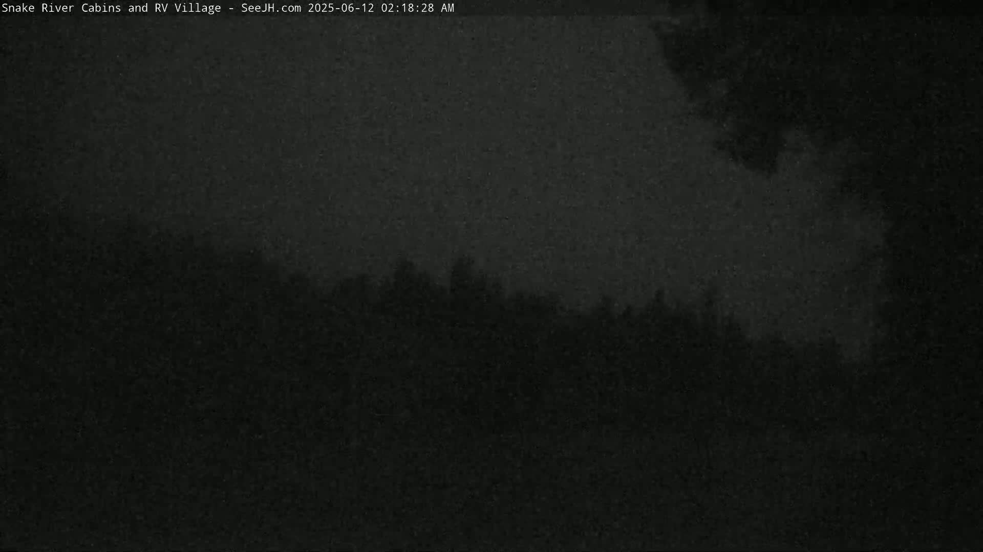 A dark, nighttime image shows a silhouetted line of trees under a mostly cloudy sky.