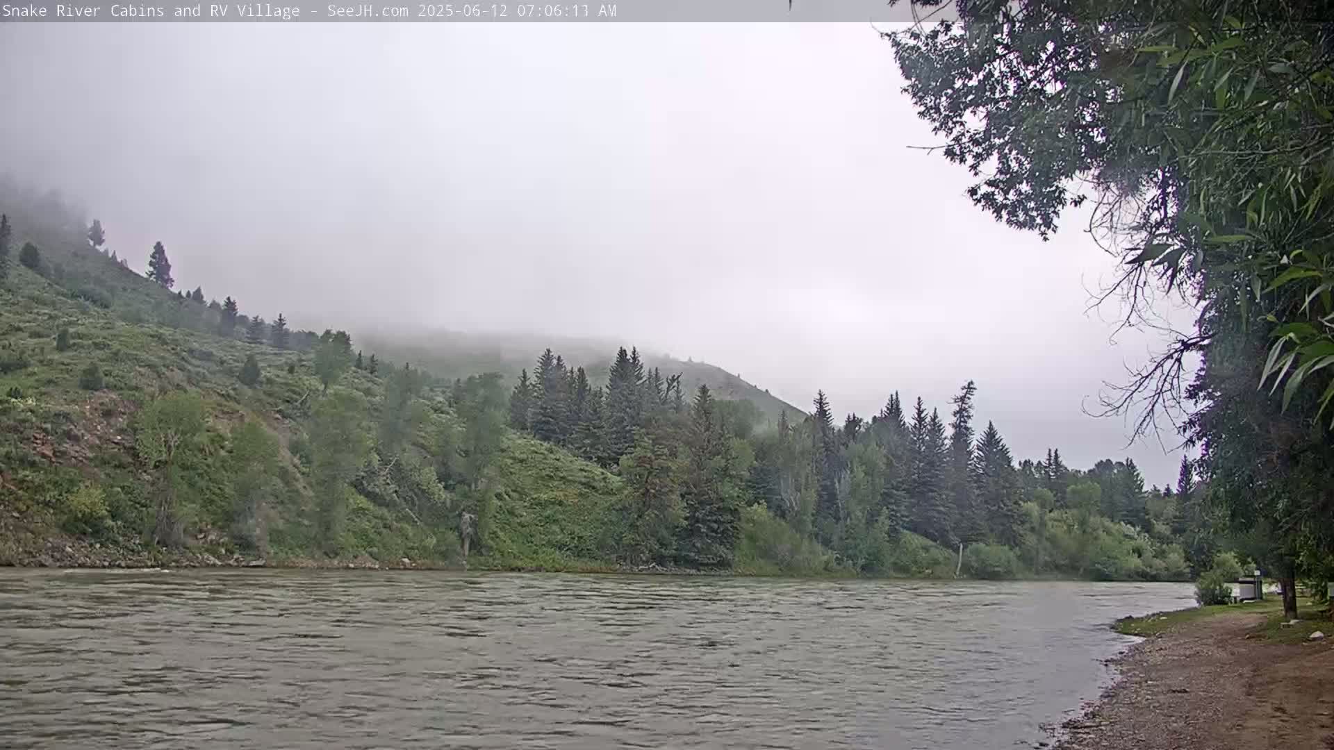 A foggy, overcast day reveals a river flowing beside a verdant hillside dotted with evergreen trees.