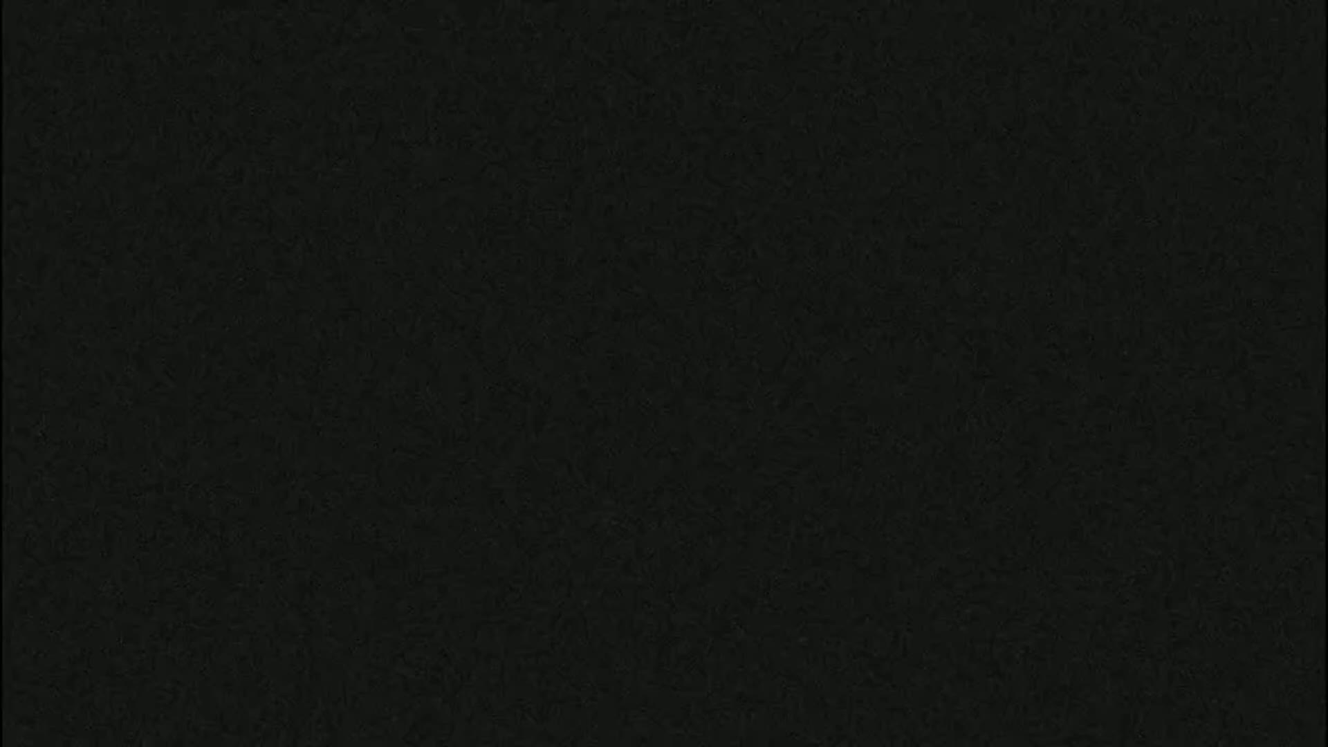 The image shows a dark, textured surface.