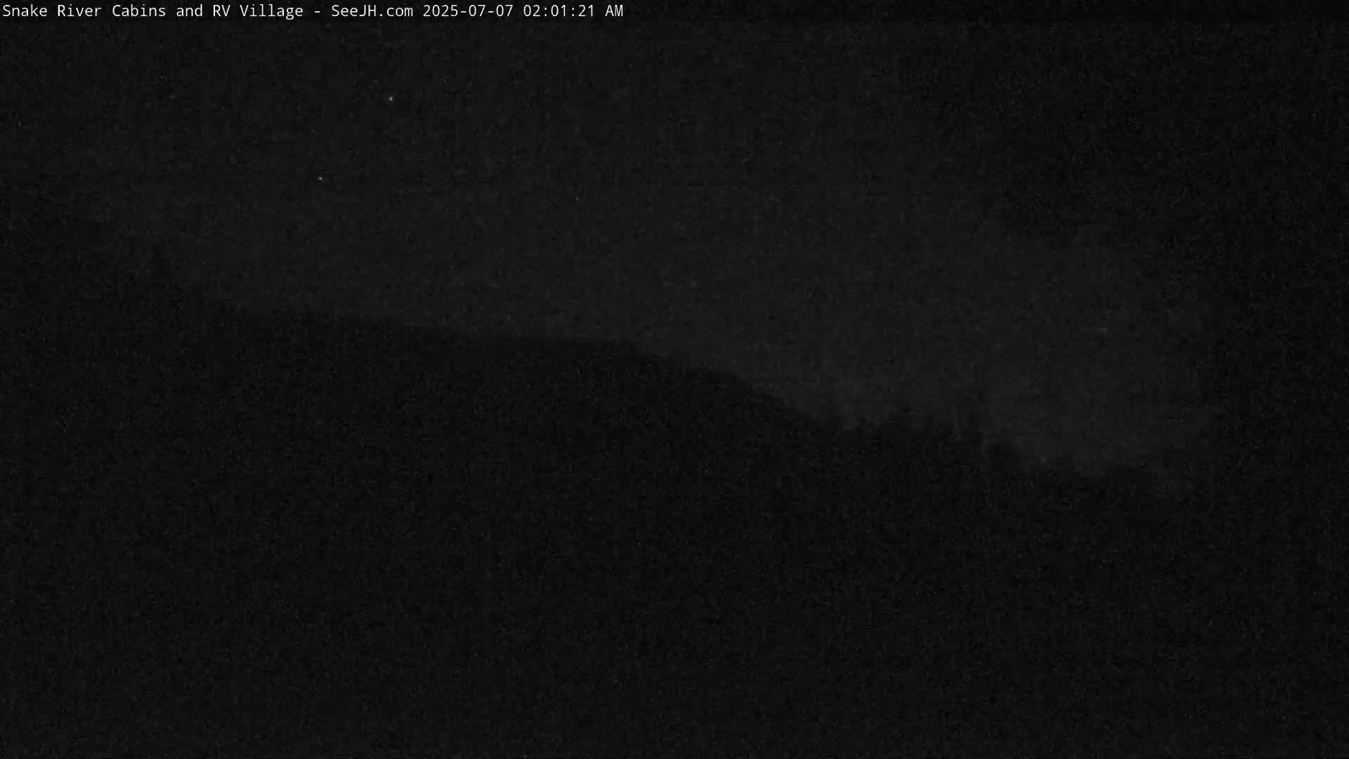 A dark, nighttime image shows a silhouetted line of trees or shrubs against a black sky.