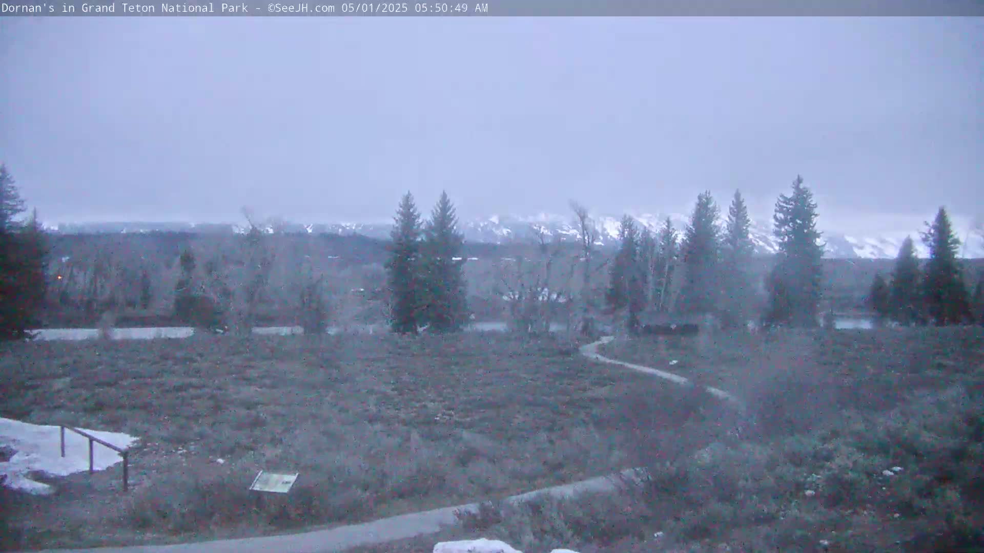 A hazy, overcast scene shows a flat, scrubby field with a curving path leading toward a line of evergreen trees and snow-capped mountains in the distance.