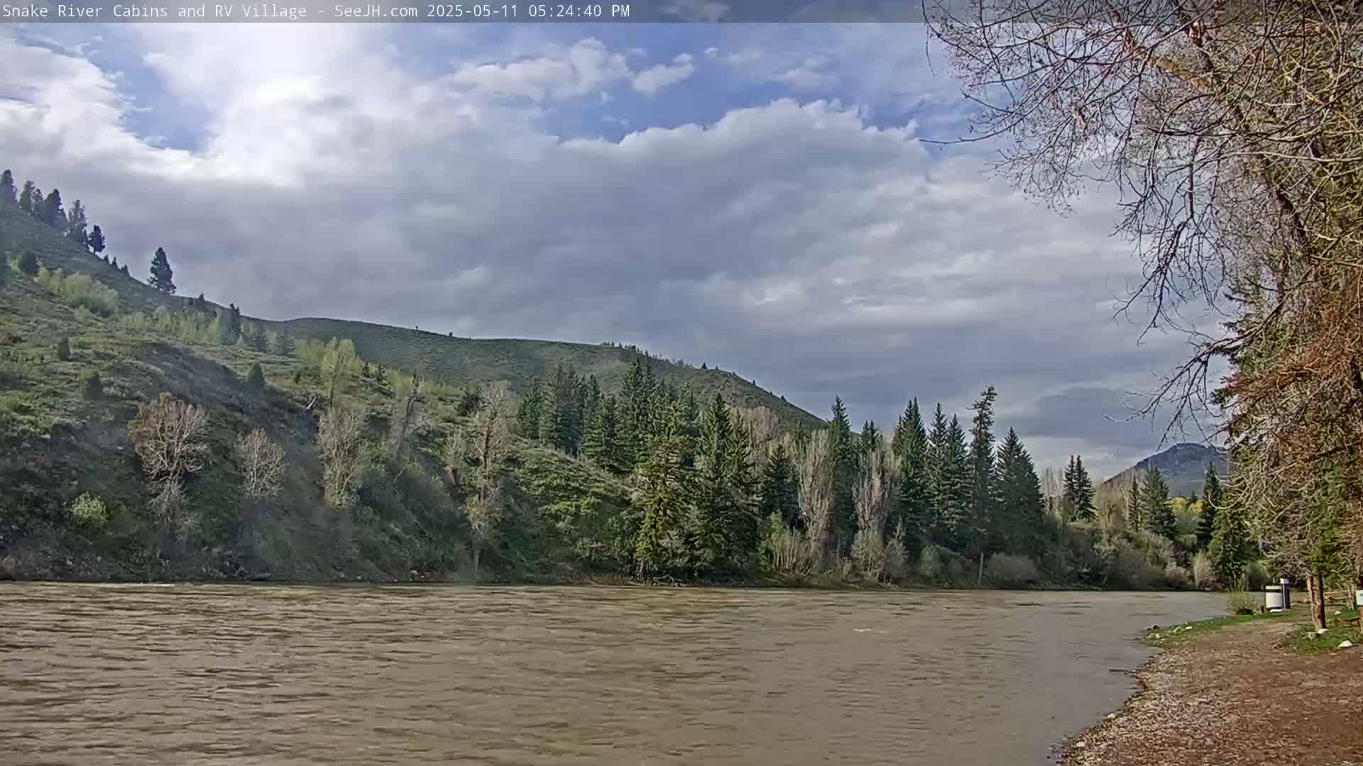 A wide, muddy river flows past a partly cloudy sky and a hill covered in evergreen and deciduous trees.