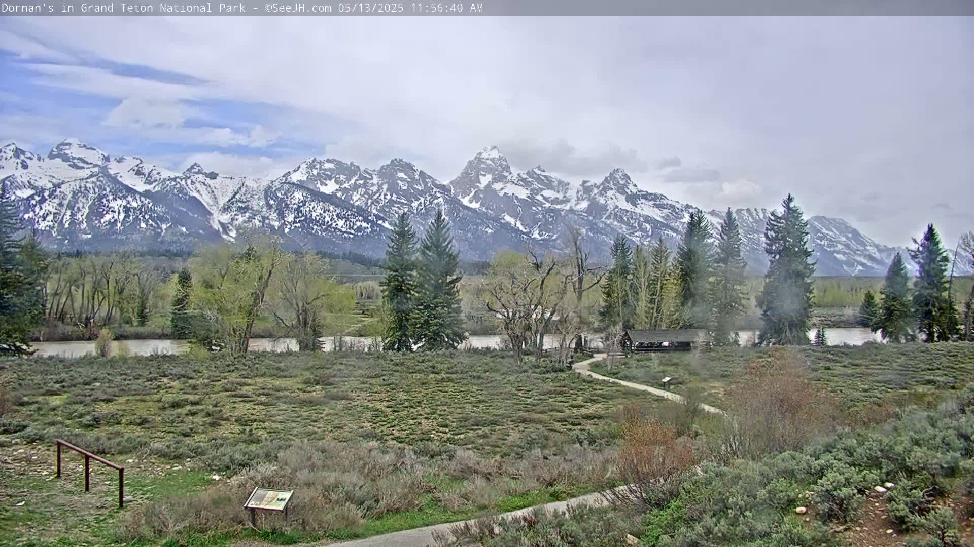 Grand Teton National Park  Live Cam - Moose, Teton, Wyoming, USA