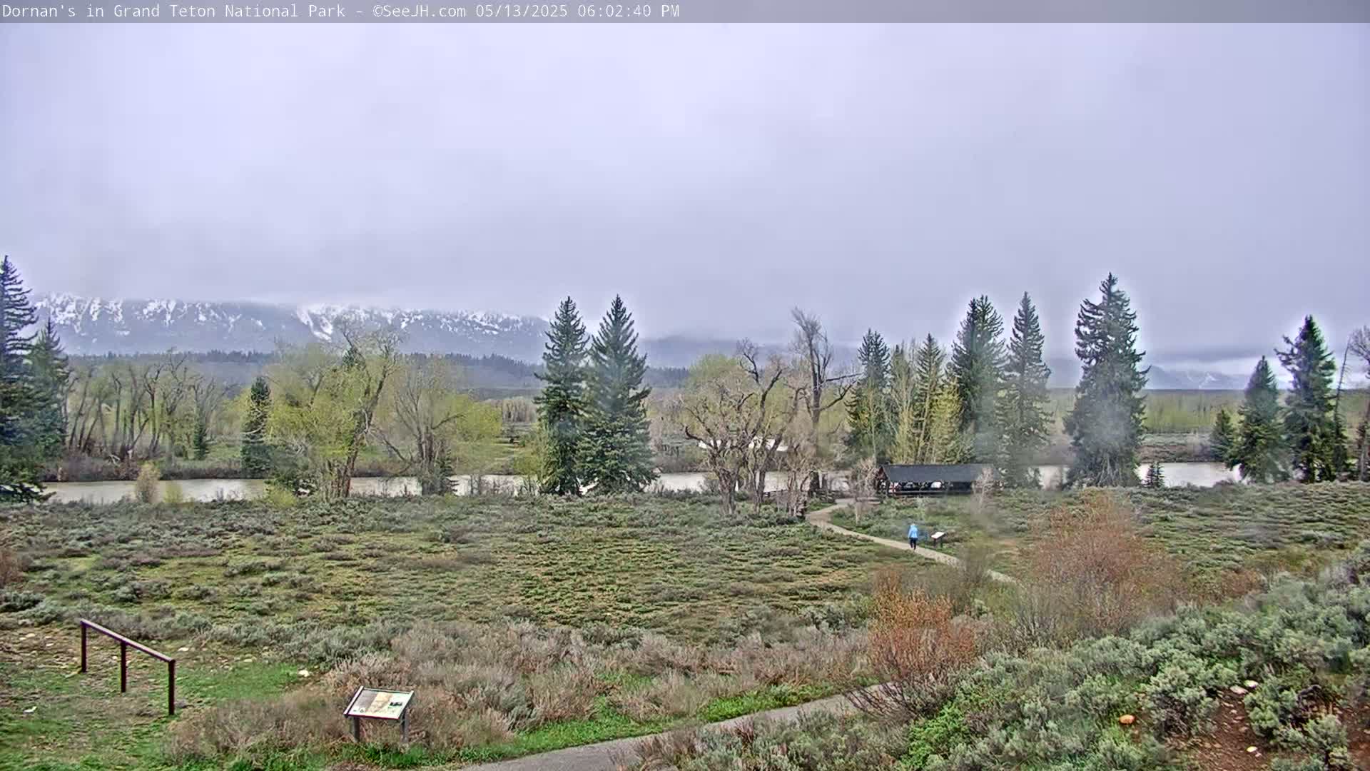 Grand Teton National Park  Live Cam - Moose, Teton, Wyoming, USA