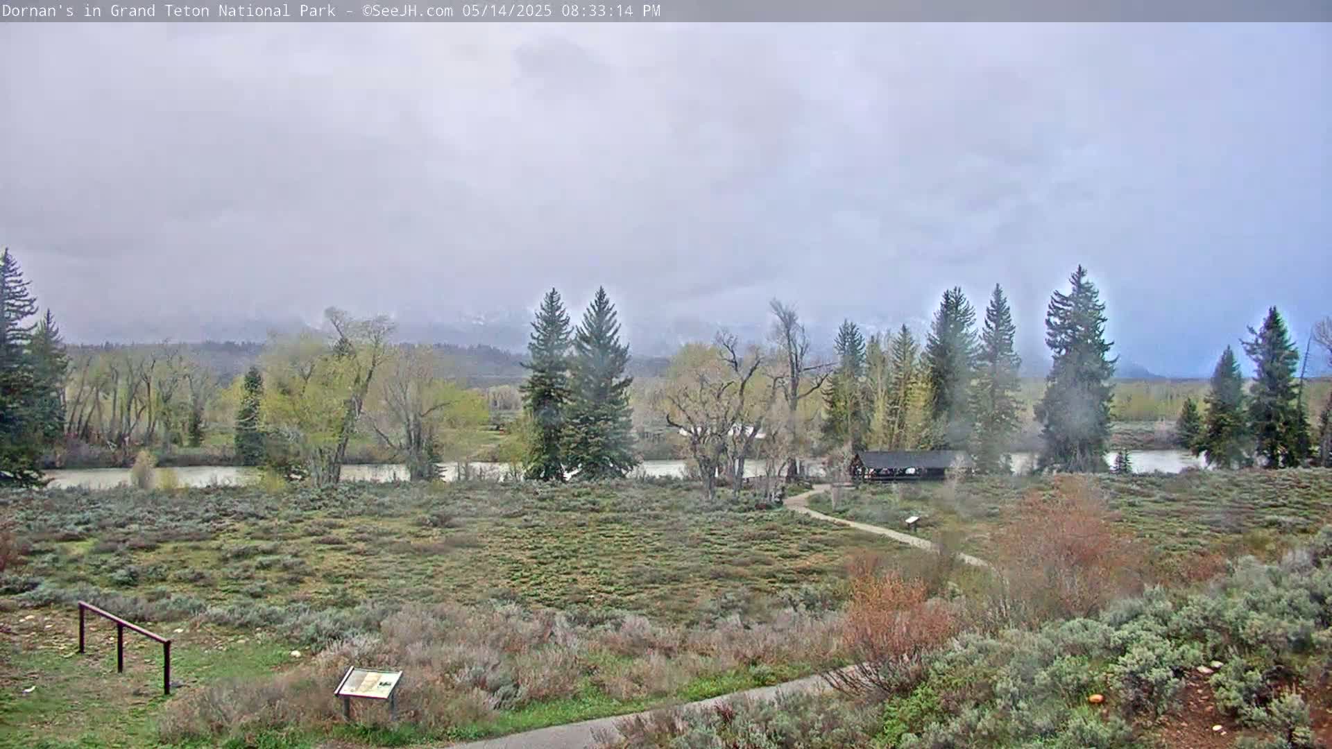 Grand Teton National Park  Live Cam - Moose, Teton, Wyoming, USA