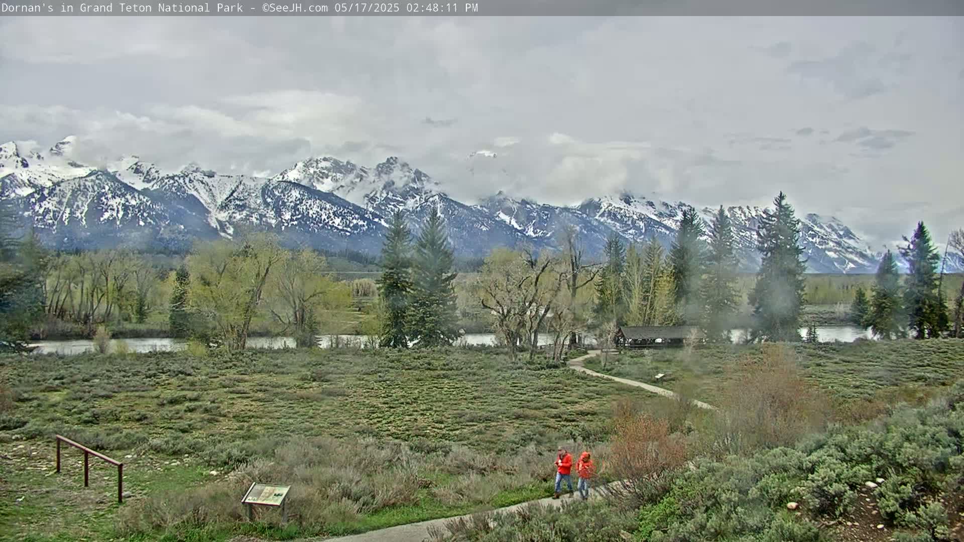 Grand Teton National Park  Live Cam - Moose, Teton, Wyoming, USA