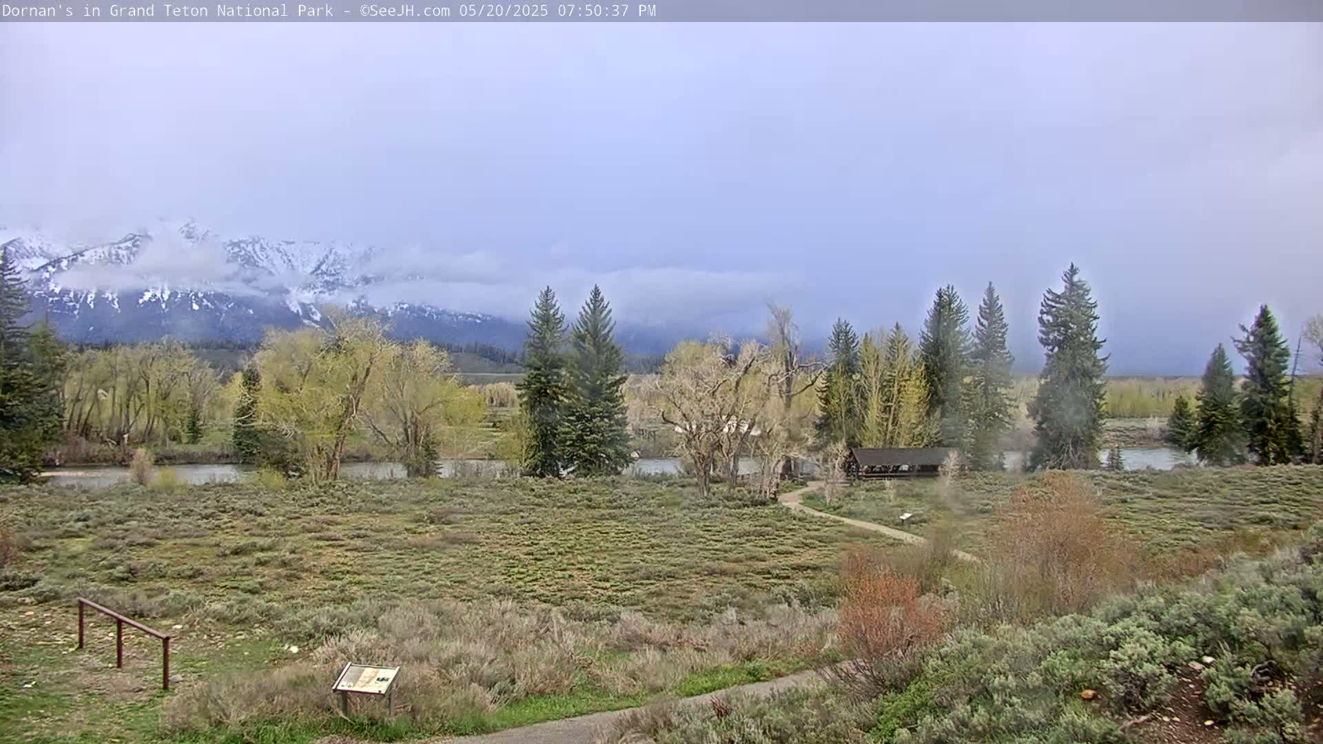 Grand Teton National Park  Live Cam - Moose, Teton, Wyoming, USA