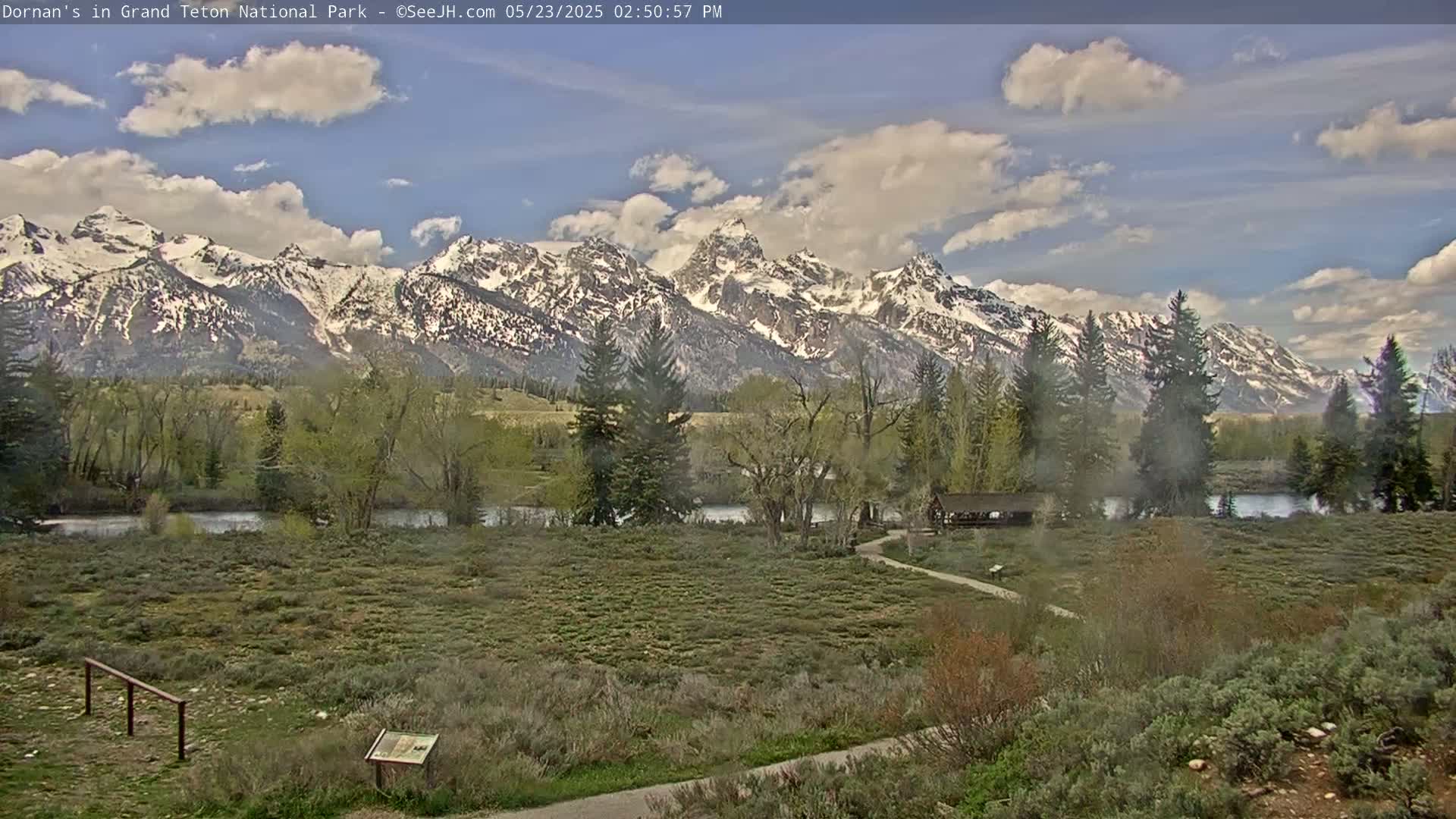 A partly cloudy day reveals a snow-capped mountain range in the background, with a flat expanse of green vegetation, a river, and a few trees in the foreground.