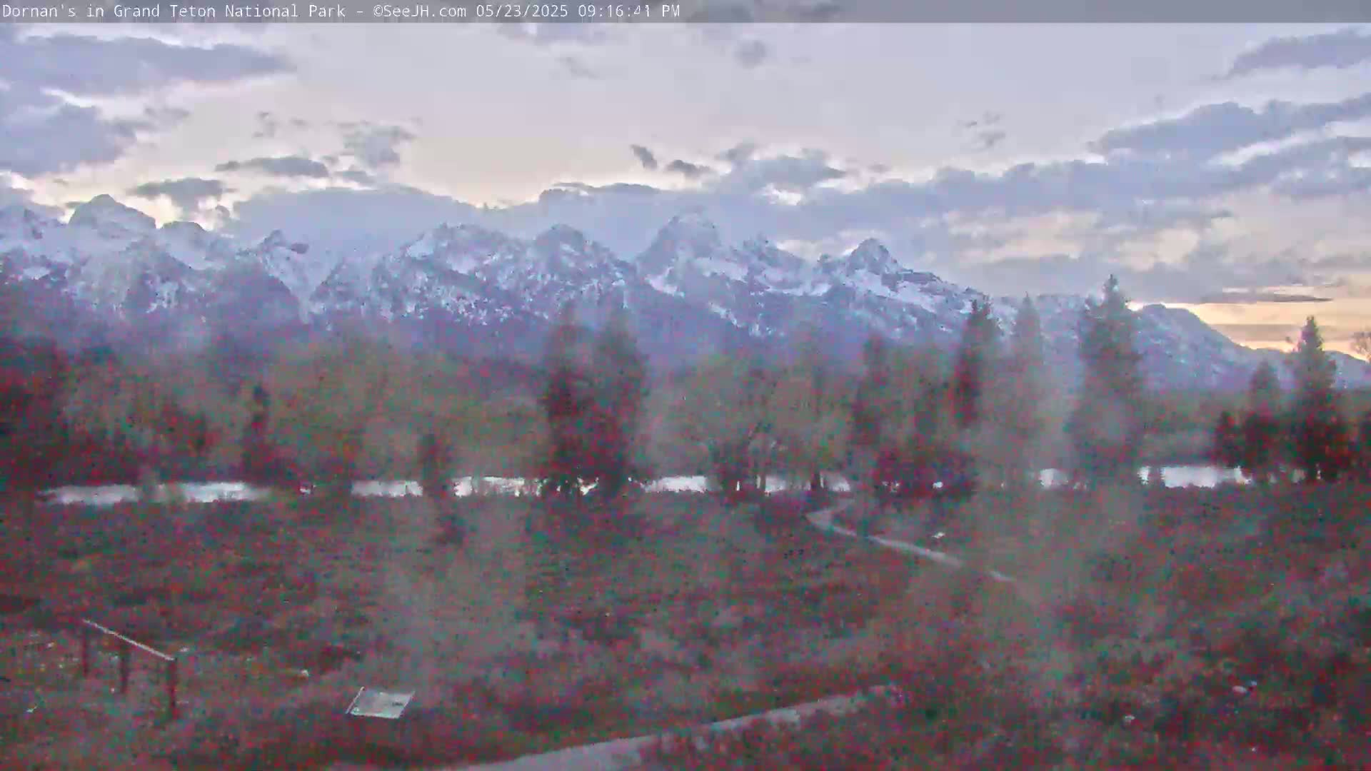 Grand Teton National Park  Live Cam - Moose, Teton, Wyoming, USA