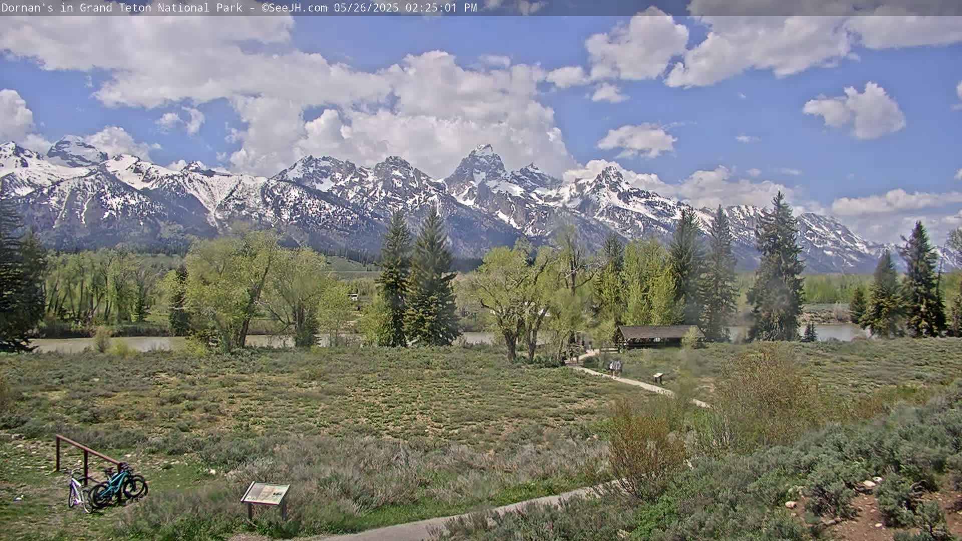 Grand Teton National Park  Live Cam - Moose, Teton, Wyoming, USA