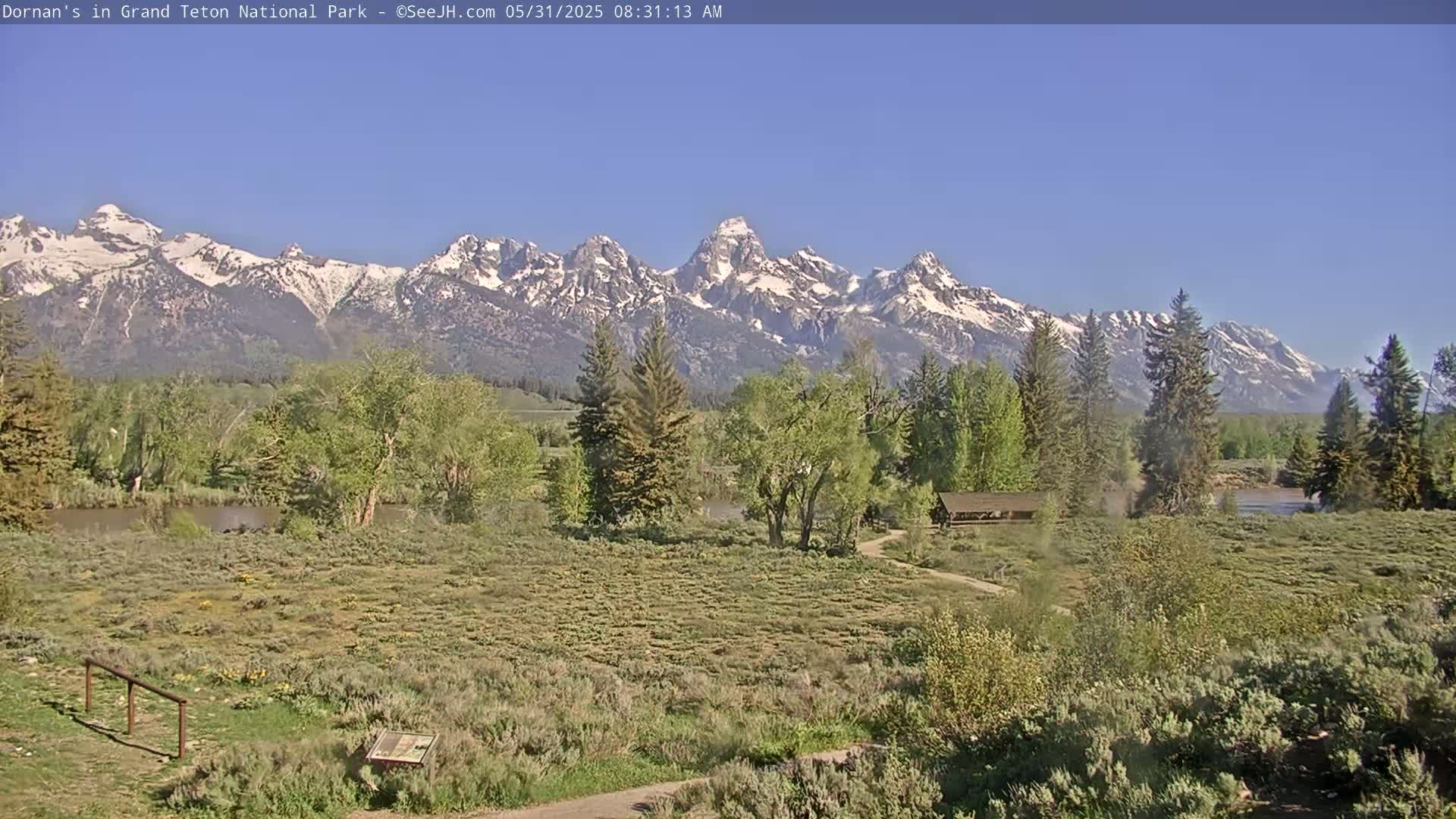 A snow-capped mountain range is visible in the distance, beyond a flat, grassy field with trees, shrubs, and a small building near a calm body of water under a clear, bright blue sky.